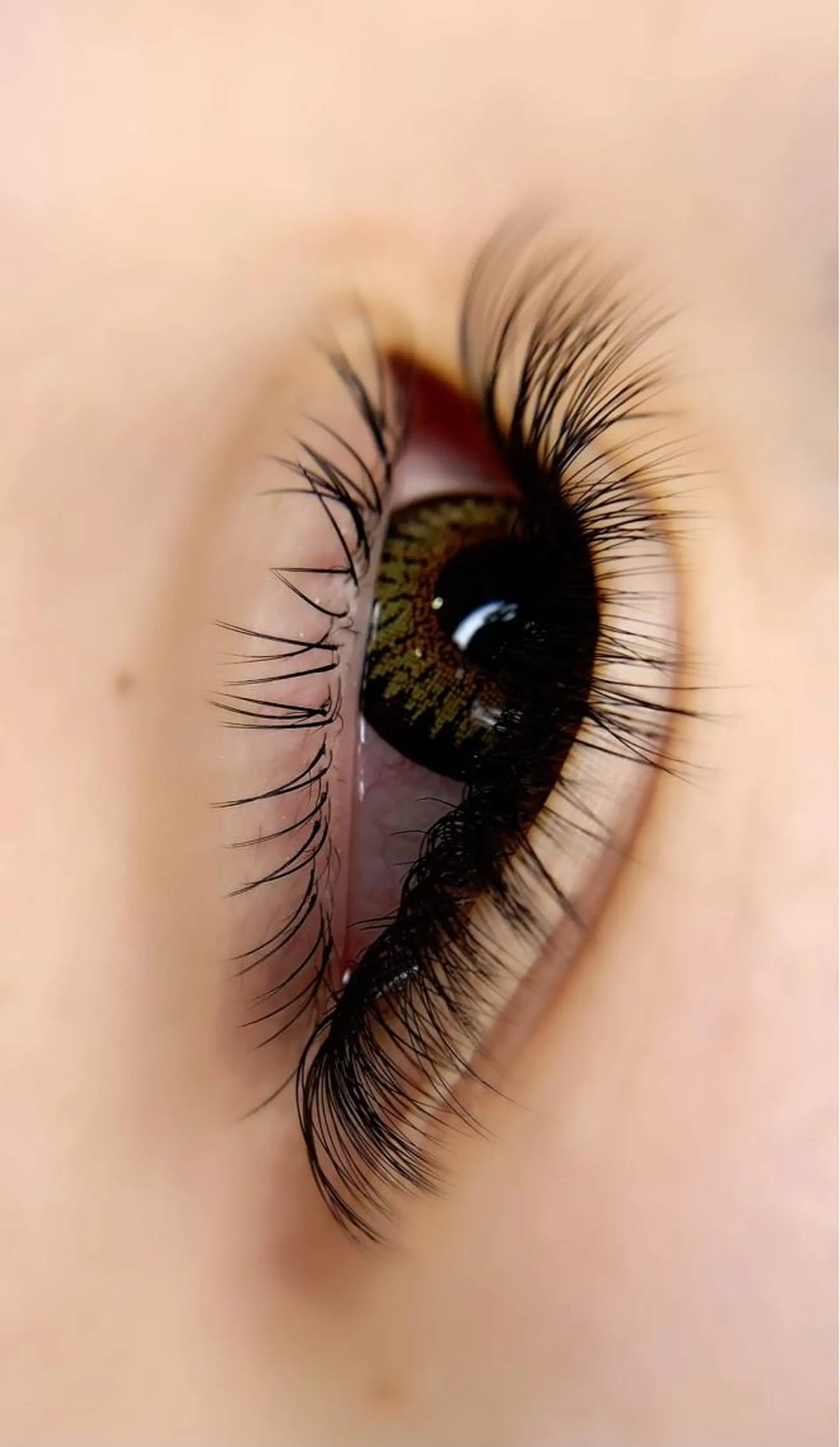 マツエク・マツパ Fameu+ HIMEKAのマツエク・マツパデザイン