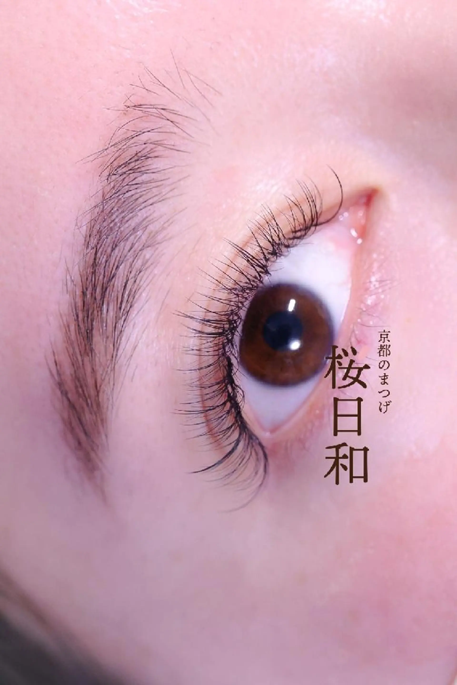 マツエク・マツパ バインドロック フラットラッシュ まつげパーマ 一重×まつ毛パーマ ボリュームラッシュ マツエク 京都のまつげ桜日和 小島美桜のマツエク・マツパデザイン