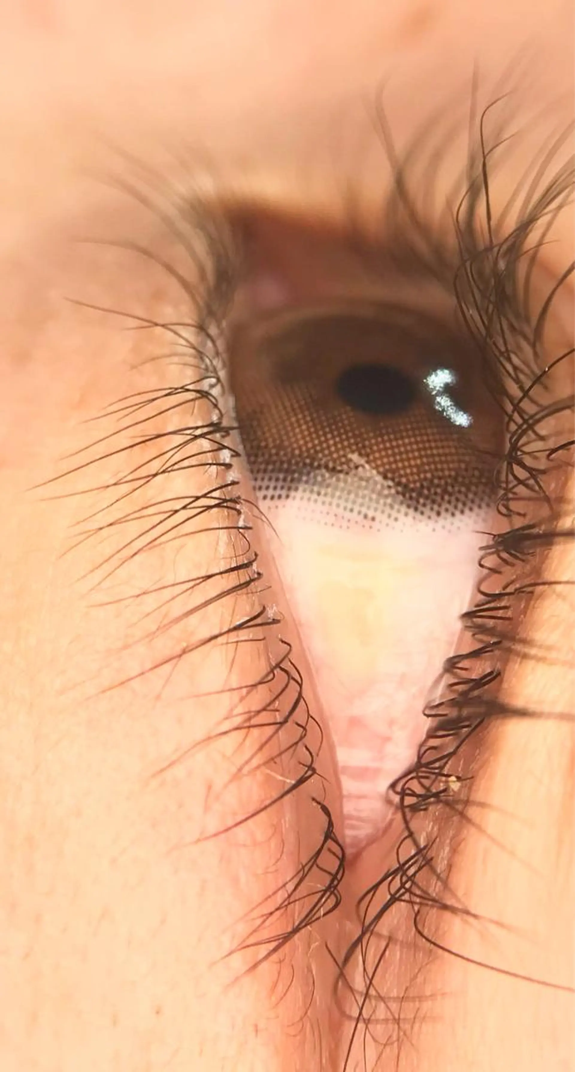 マツエク・マツパ まつげパーマ 下まつげエクステ リアン SAORIのマツエク・マツパデザイン