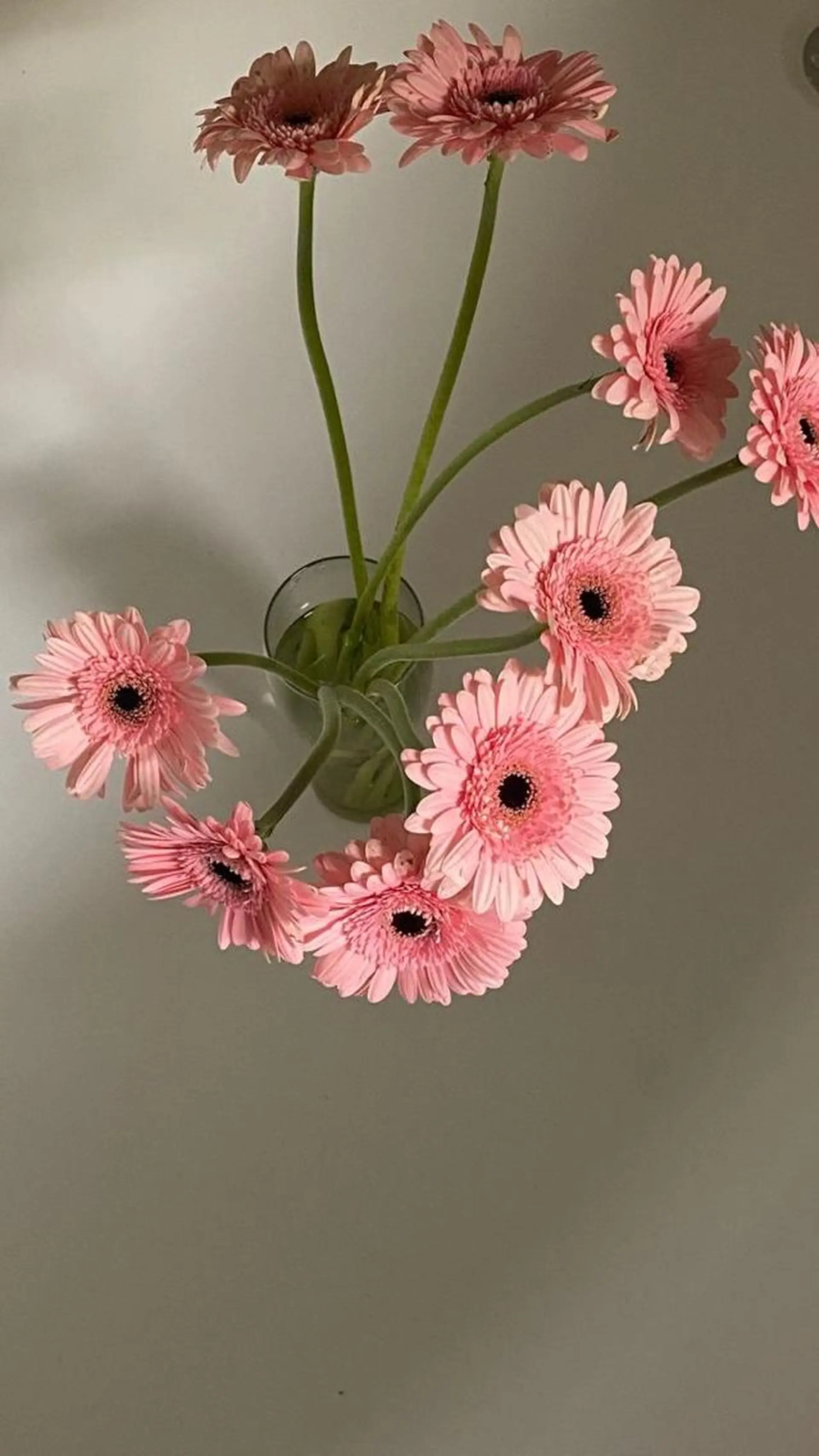 ロング カット トレンドlayer cut💐mihoのヘアスタイル