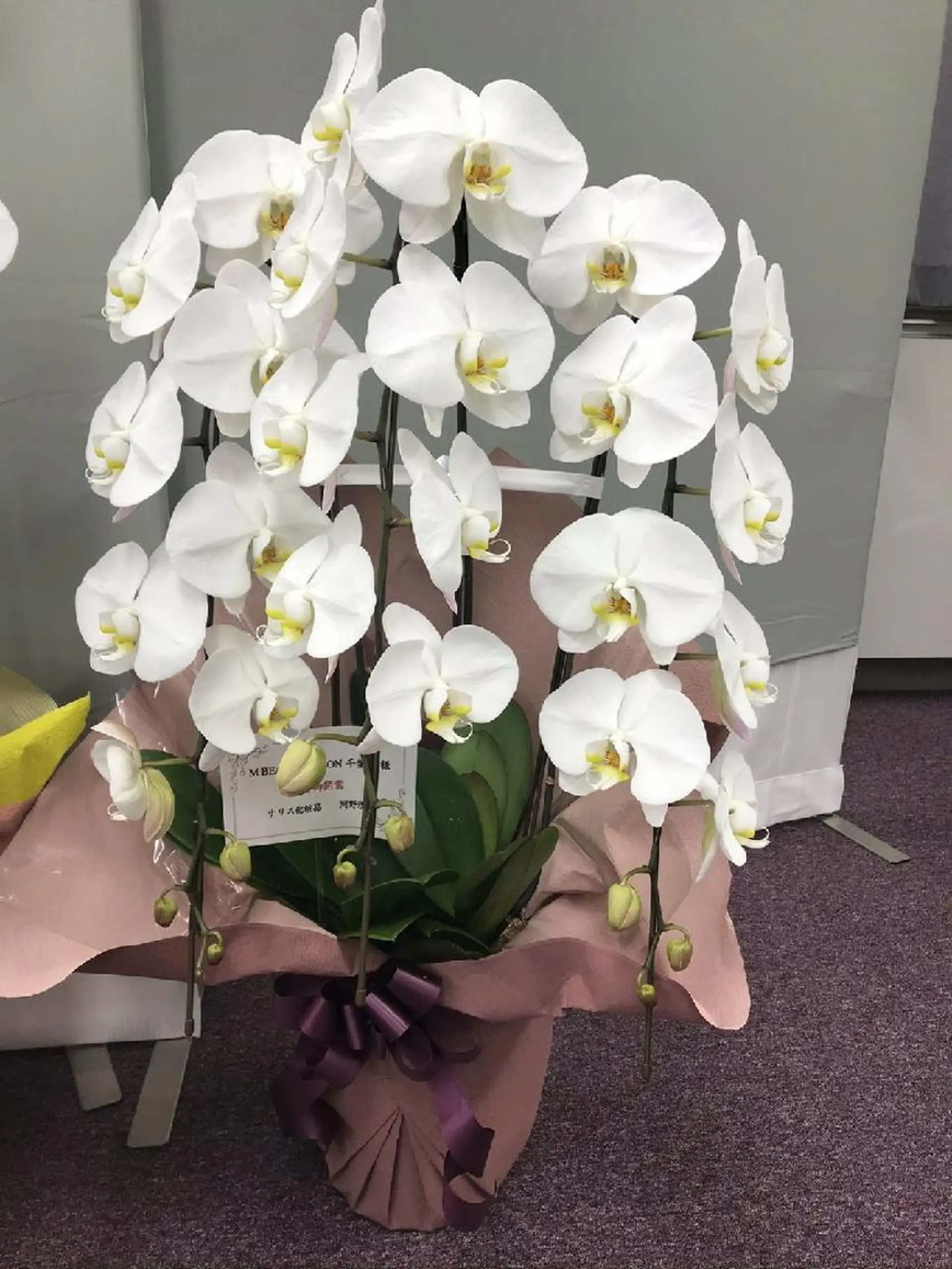 M BEAUTY SALON 千葉店所属・M 千葉店のその他イメージ