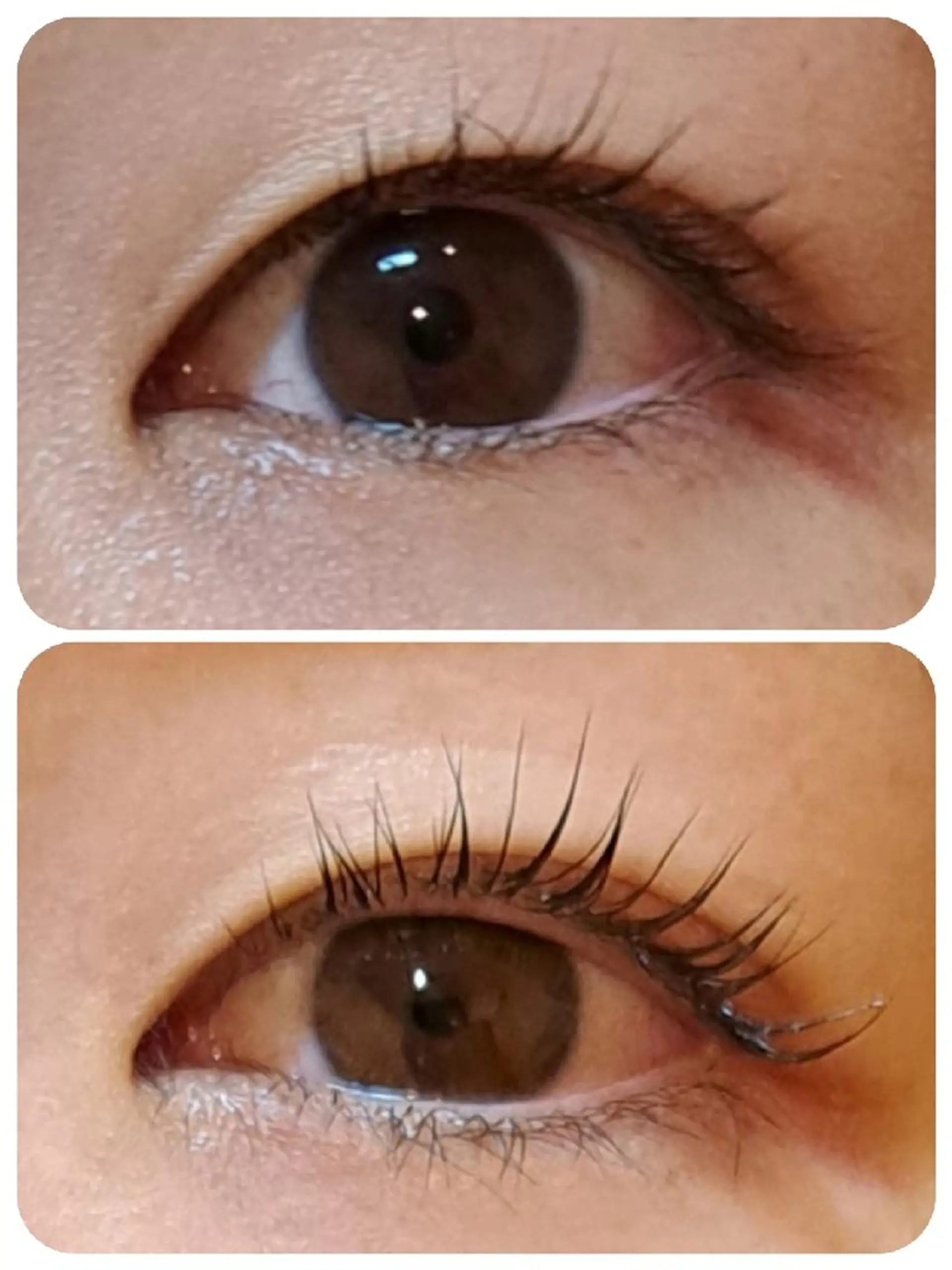 マツエク・マツパ パリジェンヌラッシュリフト マツパ トータルビューティー  バルフィット所属・冨永 小絵のマツエク・マツパデザイン