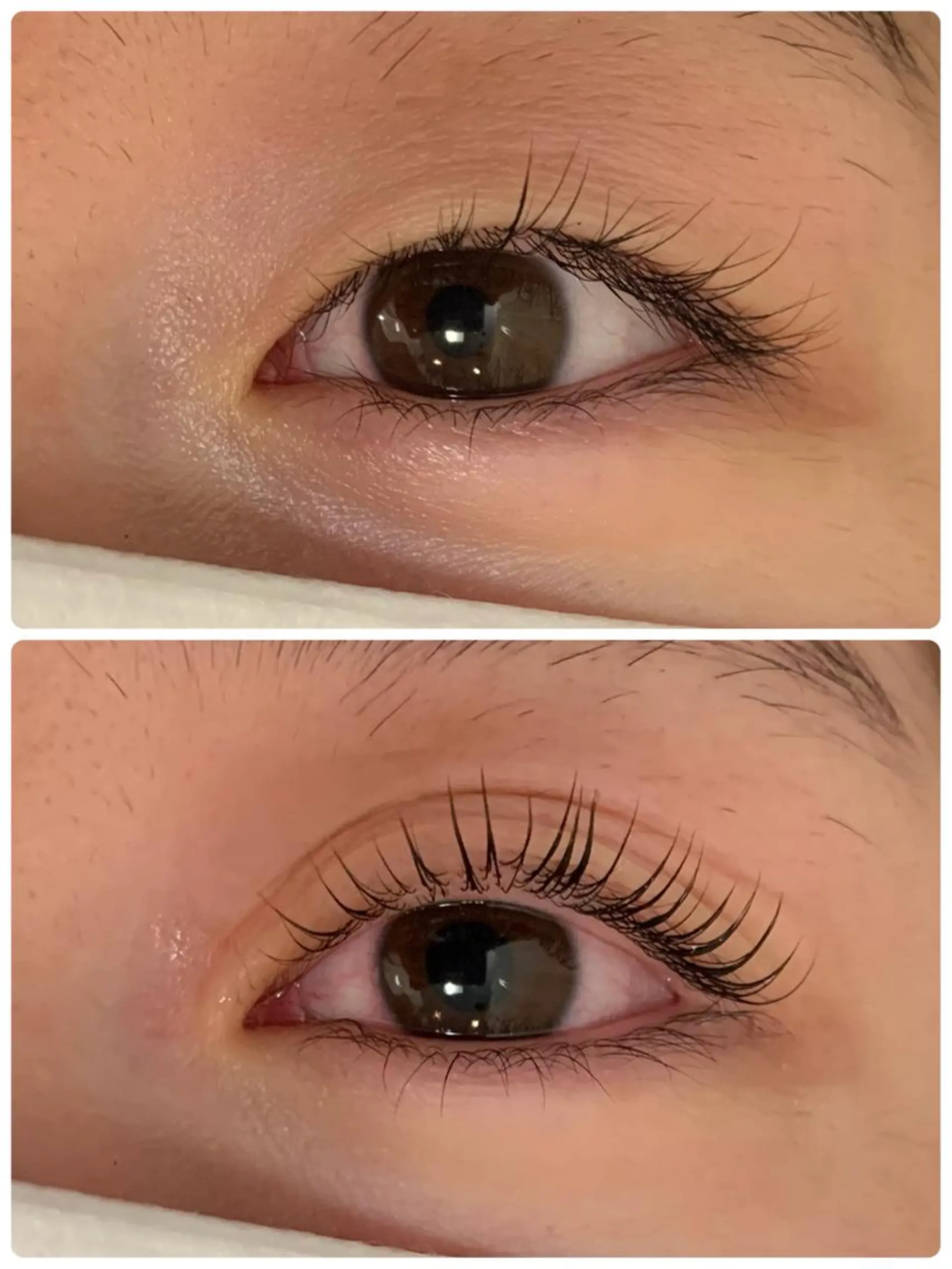 マツエク・マツパ passion茨木 【風張】のマツエク・マツパデザイン