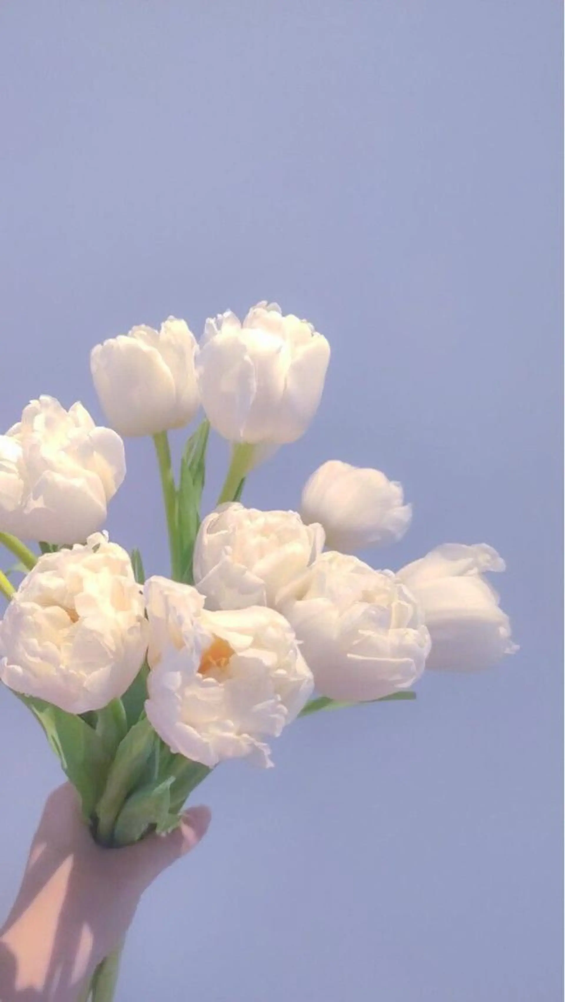 カラー 韓国風ヘア/パーマ ♡あゆのヘアスタイル