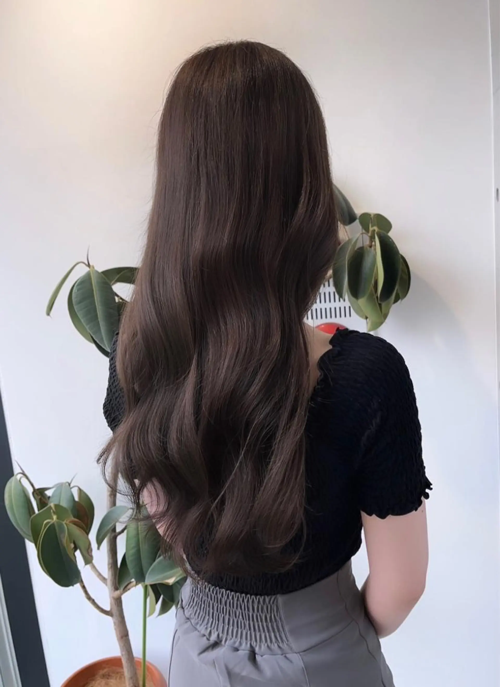 セミロング カラー カット ヘアカラー トリートメント 🌫️大人韓国ヘア 🌫️naoyaのヘアスタイル