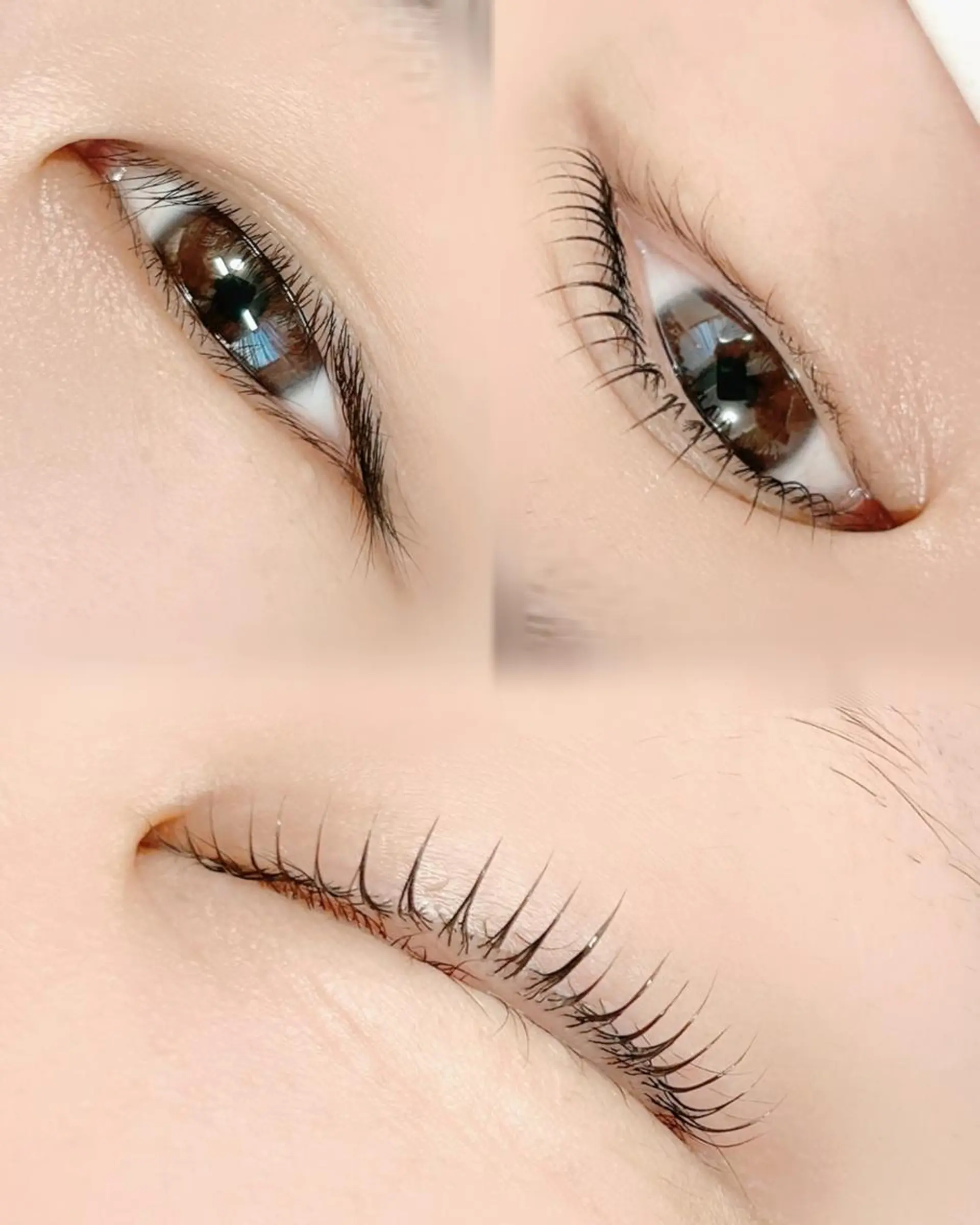 マツエク・マツパ マツパ lieu pré eyelashの眉毛・アイブロウイメージ