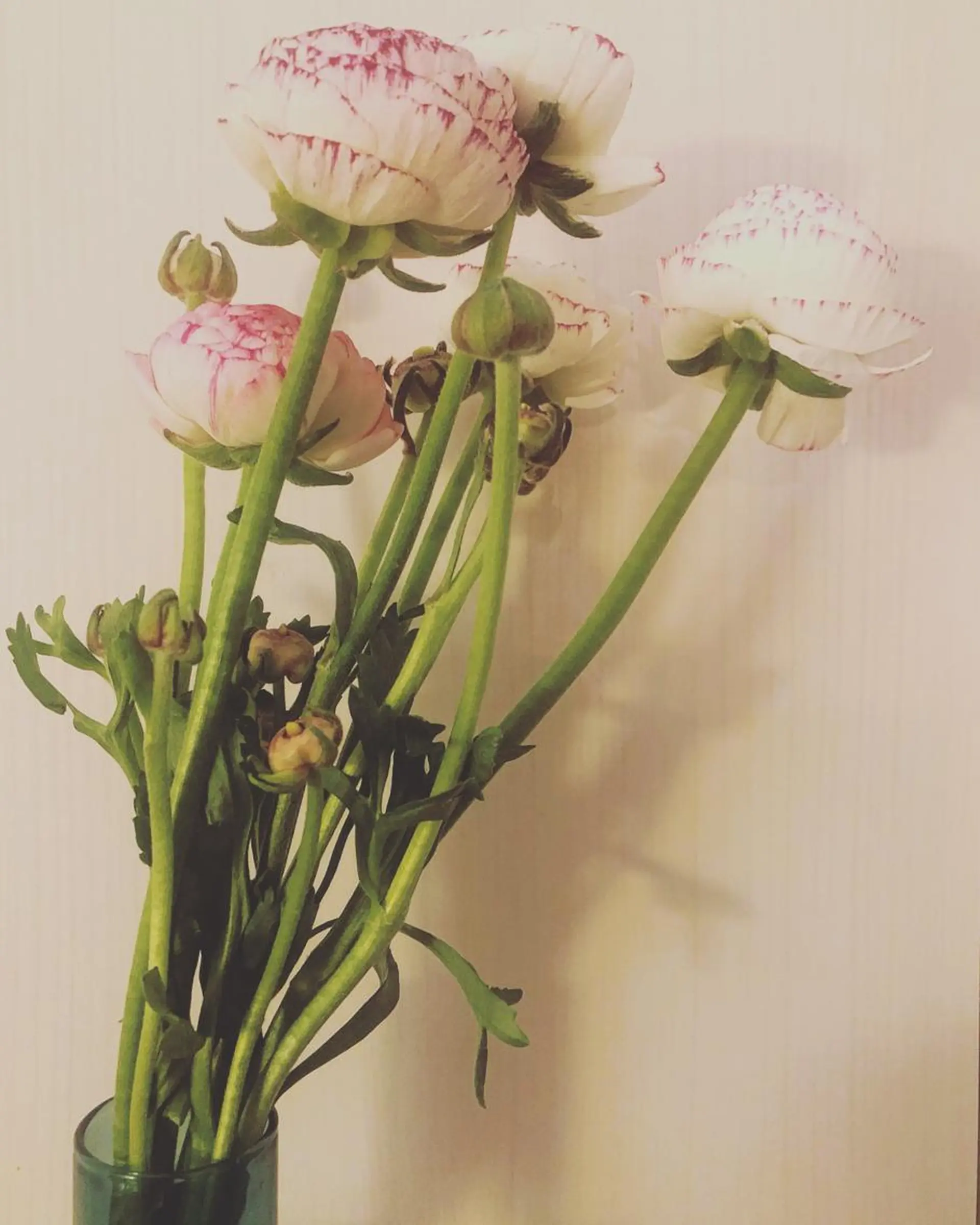 エステ リラク basico  のエステ・リラクイメージ