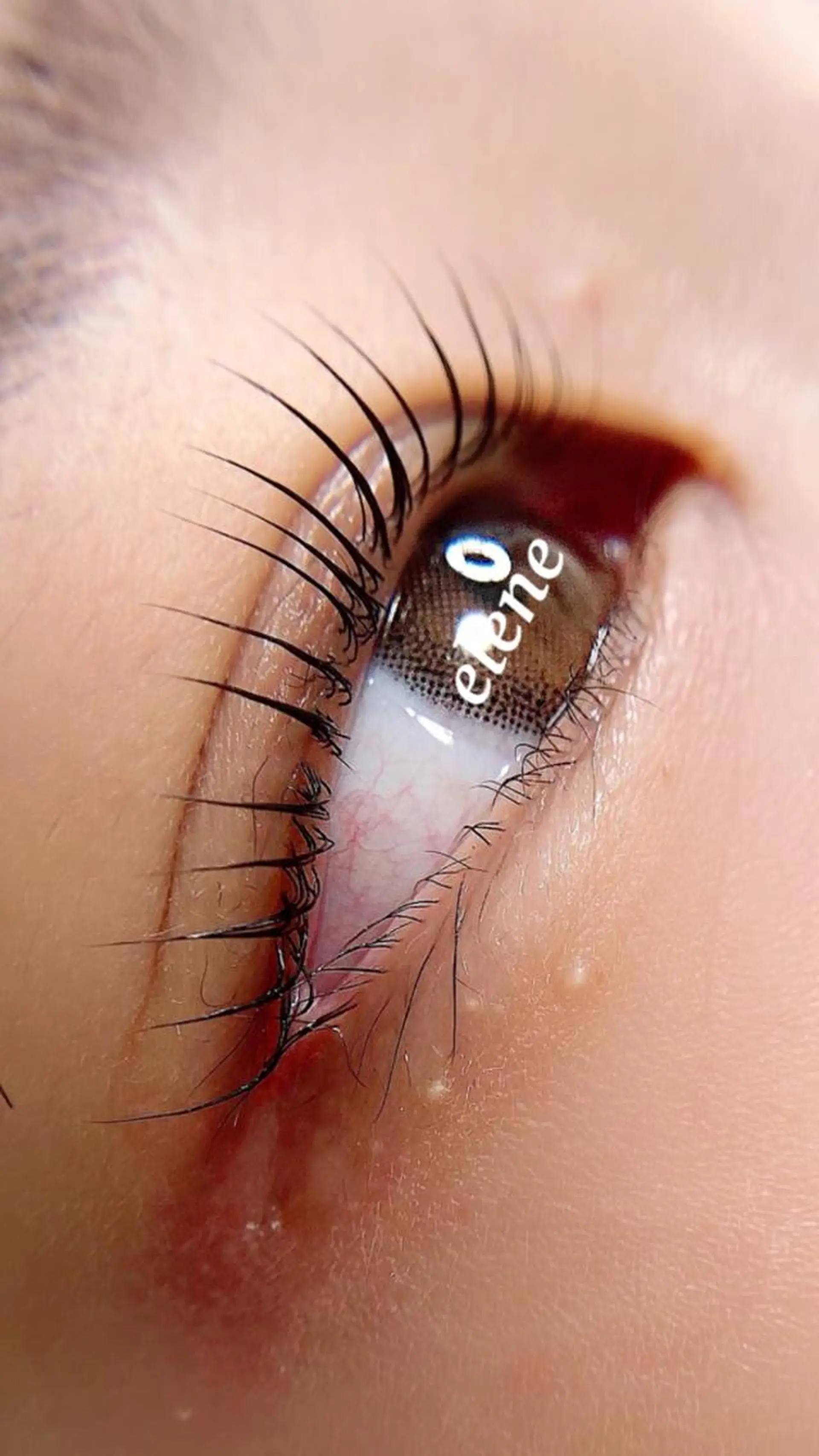 マツエク・マツパ マツパ Elene  エレーヌ所属・Elene ˚✧₊東広島のマツエク・マツパデザイン