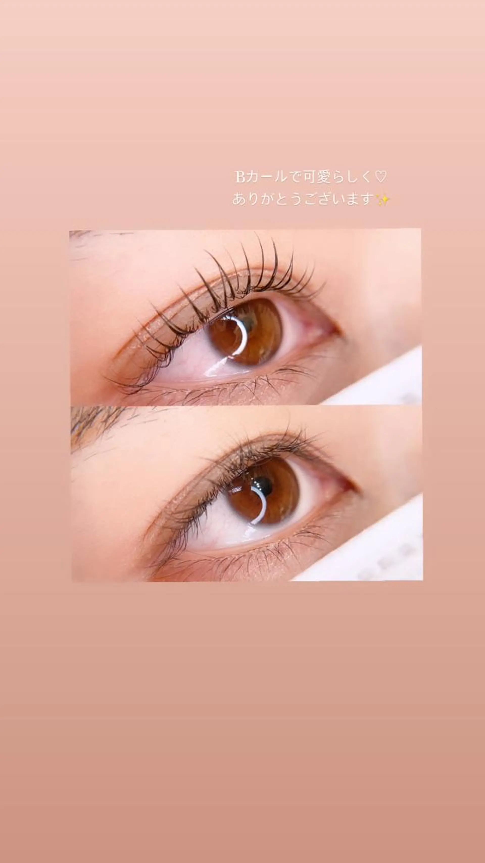 カラー マツエク・マツパ Bカール 一重×まつ毛パーマ マツパ Chante Lily所属・森崎 麗のマツエク・マツパデザイン