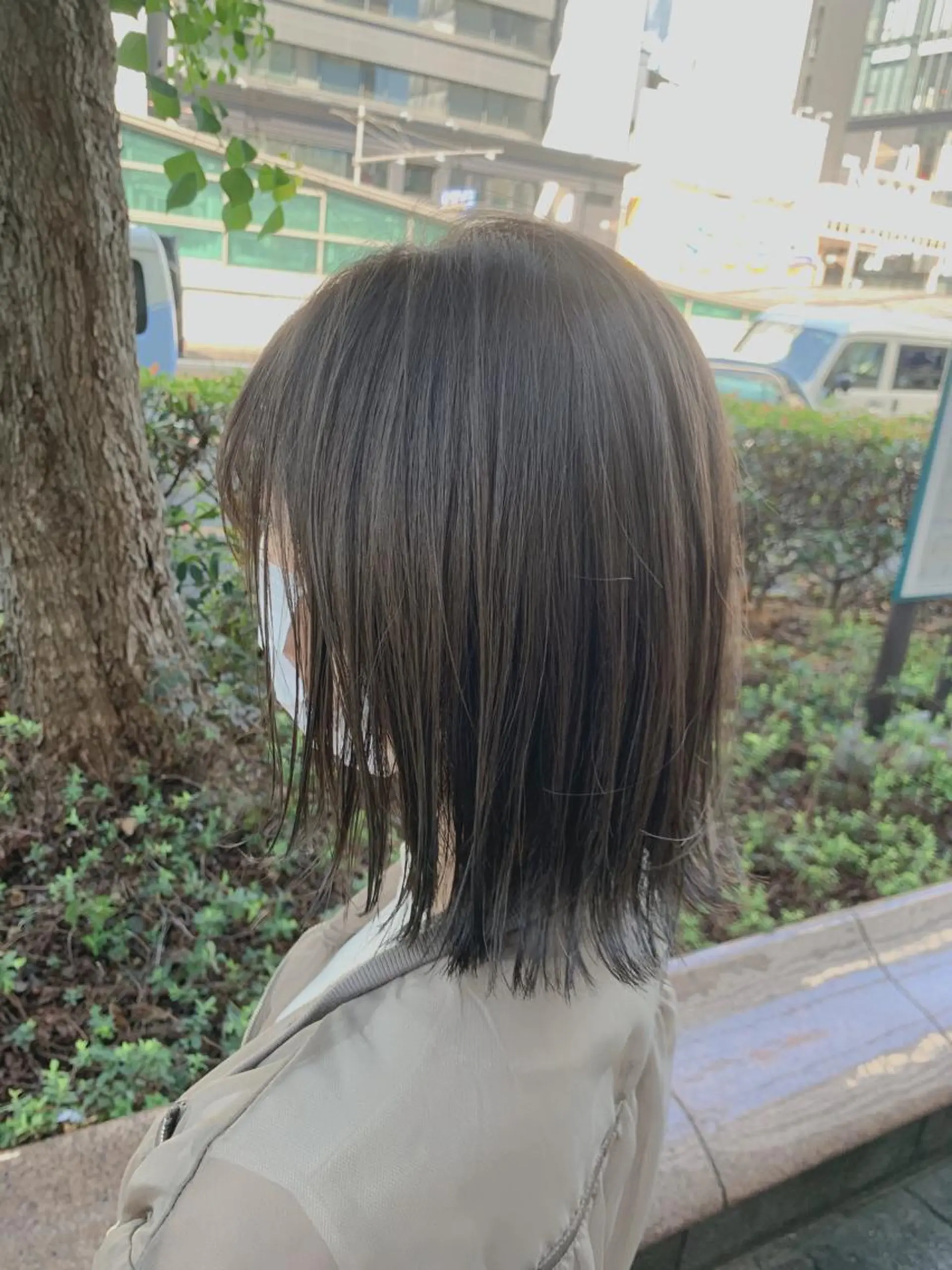 カラー ウルフとハイトーン みっちー✂️のヘアスタイル