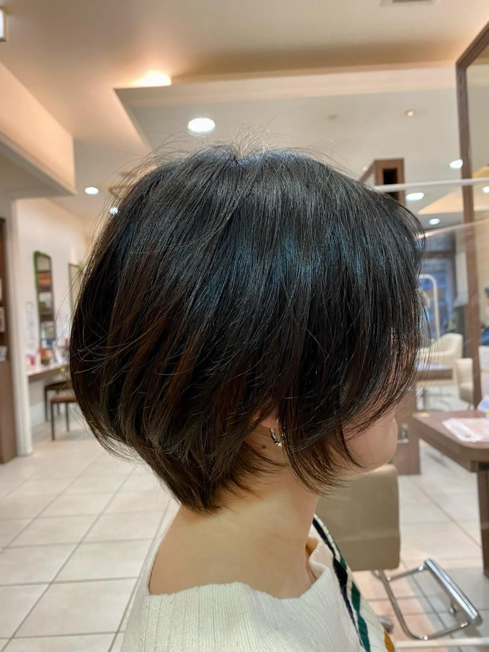 ショート ショートボブ ボブ ショートヘア カット ヘアカラー トリートメント 《大人気髪質改善》 プログレス国分寺店のヘアスタイル