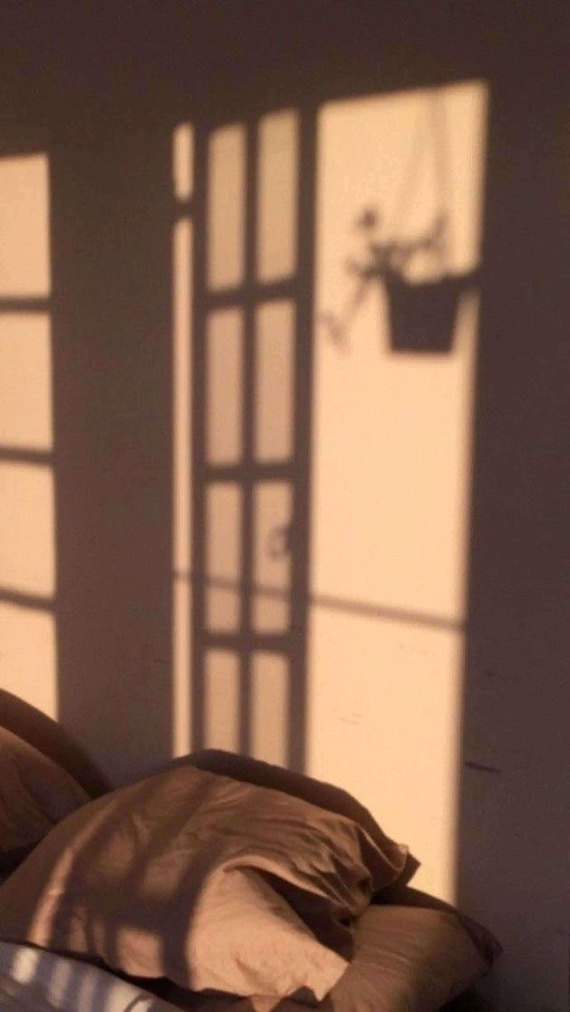 Iwasaki Nene☾店長のマツエク・マツパデザイン