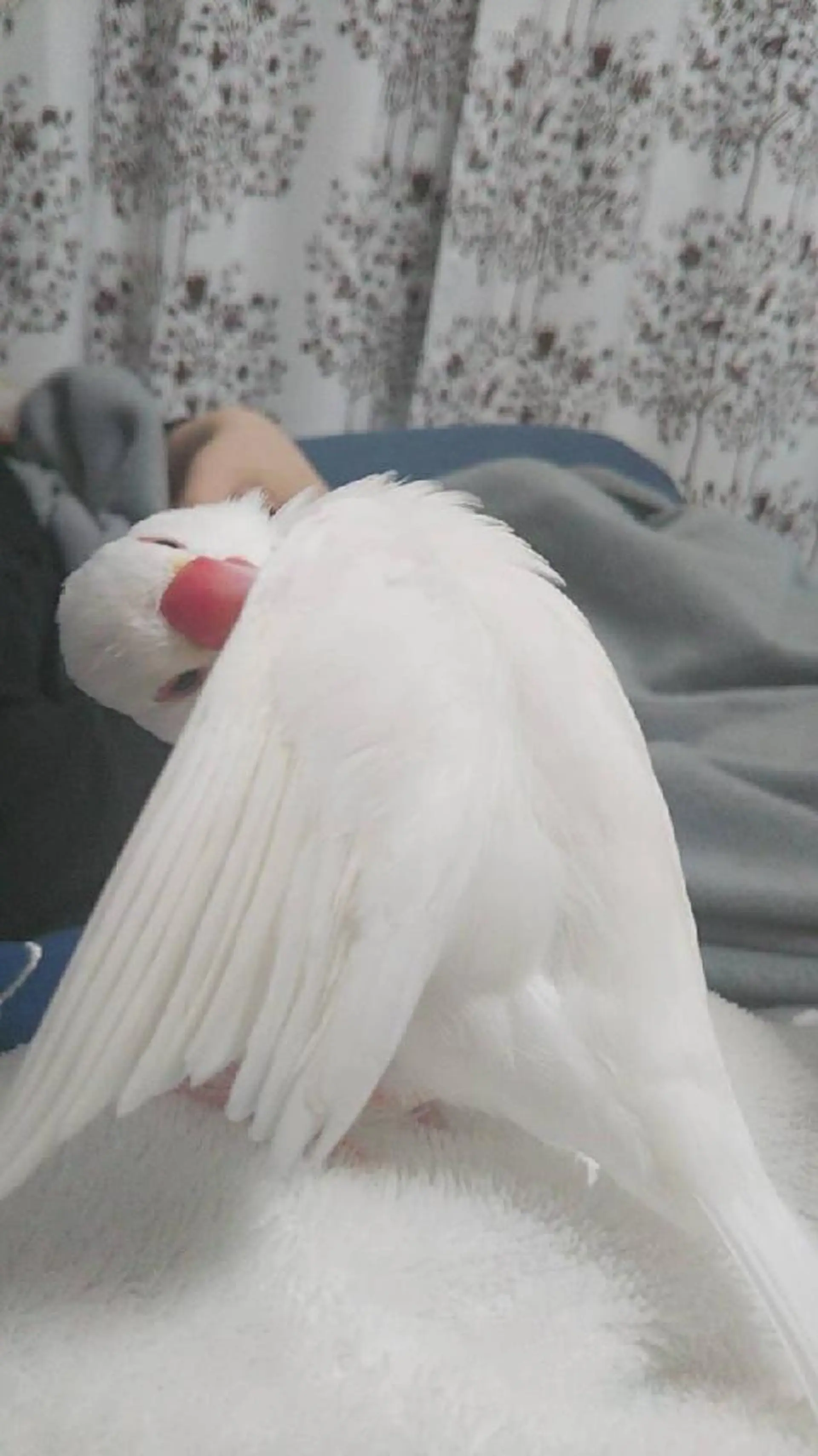 g*rossa高橋 くみこのエステ・リラクイメージ