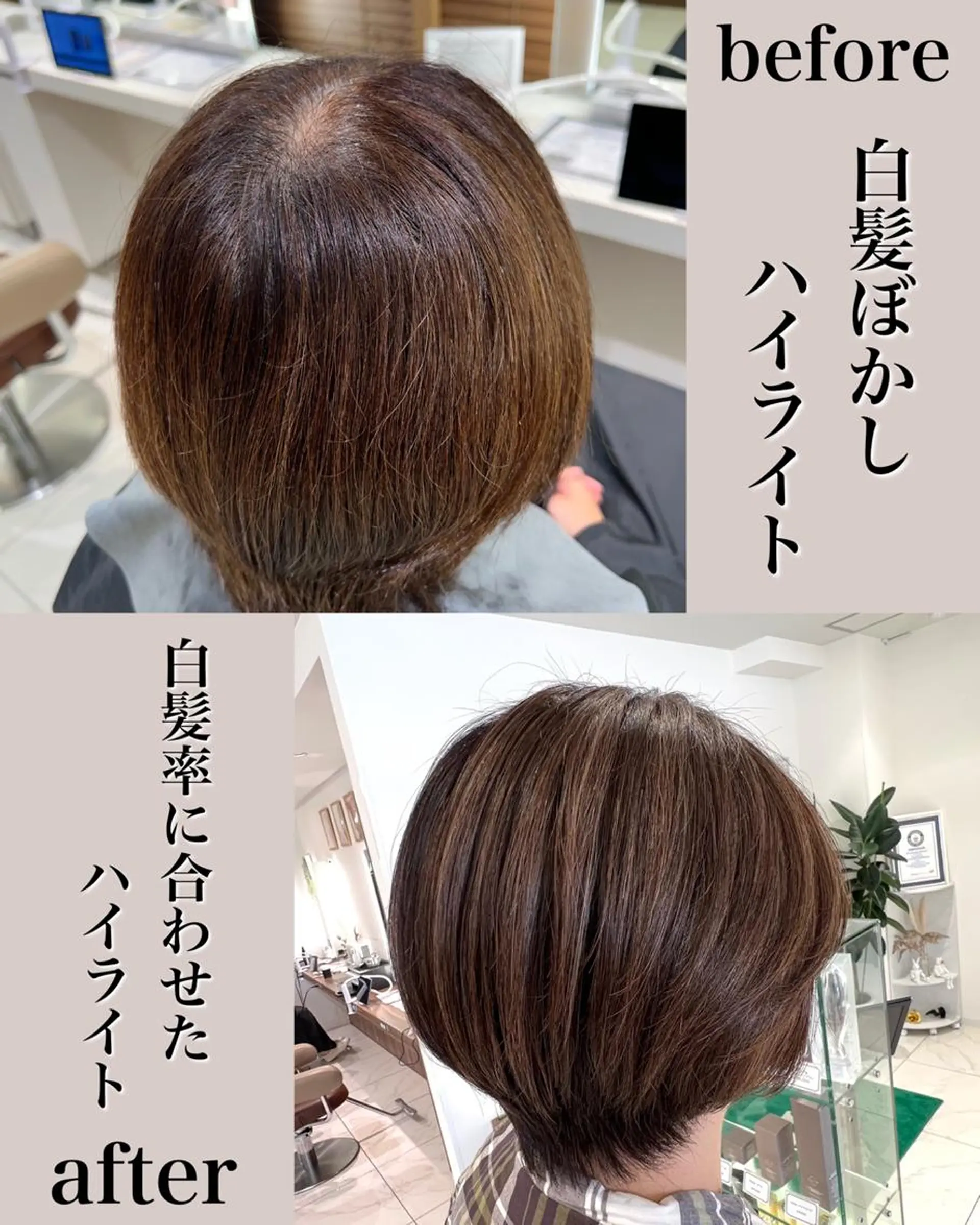 ショート ハイライト ＡＳＨ 大宮のヘアスタイル