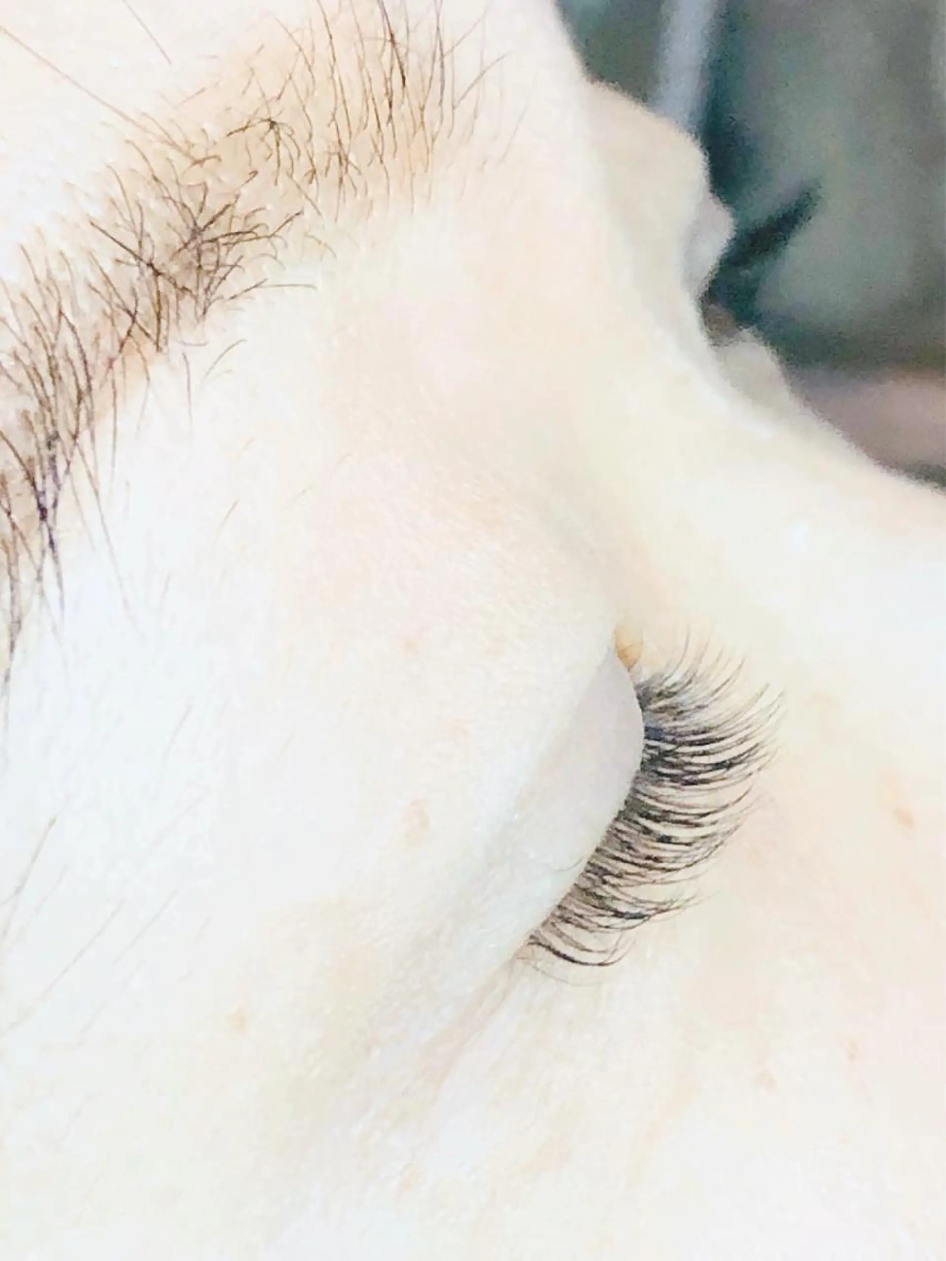 マツエク・マツパ 一重×まつ毛パーマ 頭痛肩こりで悩むおとな女性専門ボディケアサロンねこもみ所属・札幌　頭痛肩こり解消 セラピストkaoriのエステ・リラクイメージ