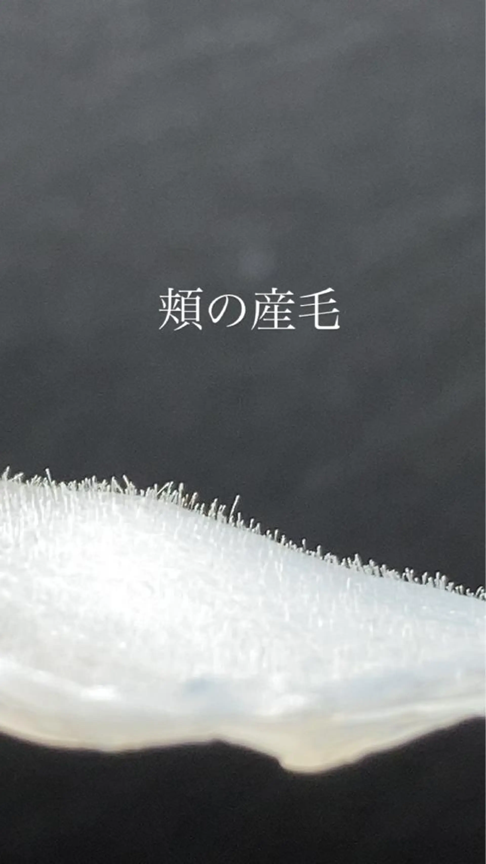 アイブロウ 【薬院】まつげ 眉毛のマツエク・マツパデザイン