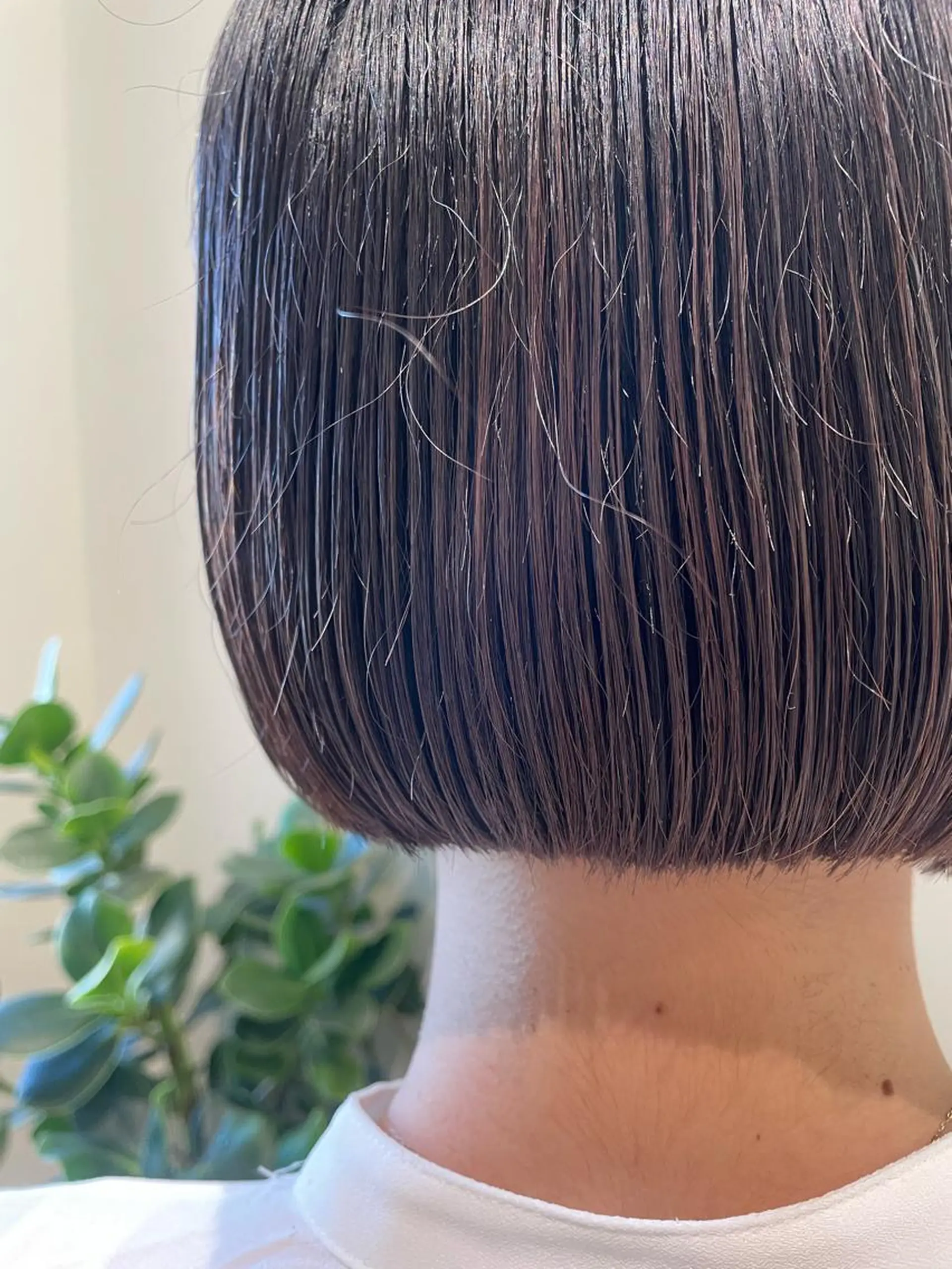 ショート カット ボブ/インナーカラー /眉毛/Miyuのヘアスタイル