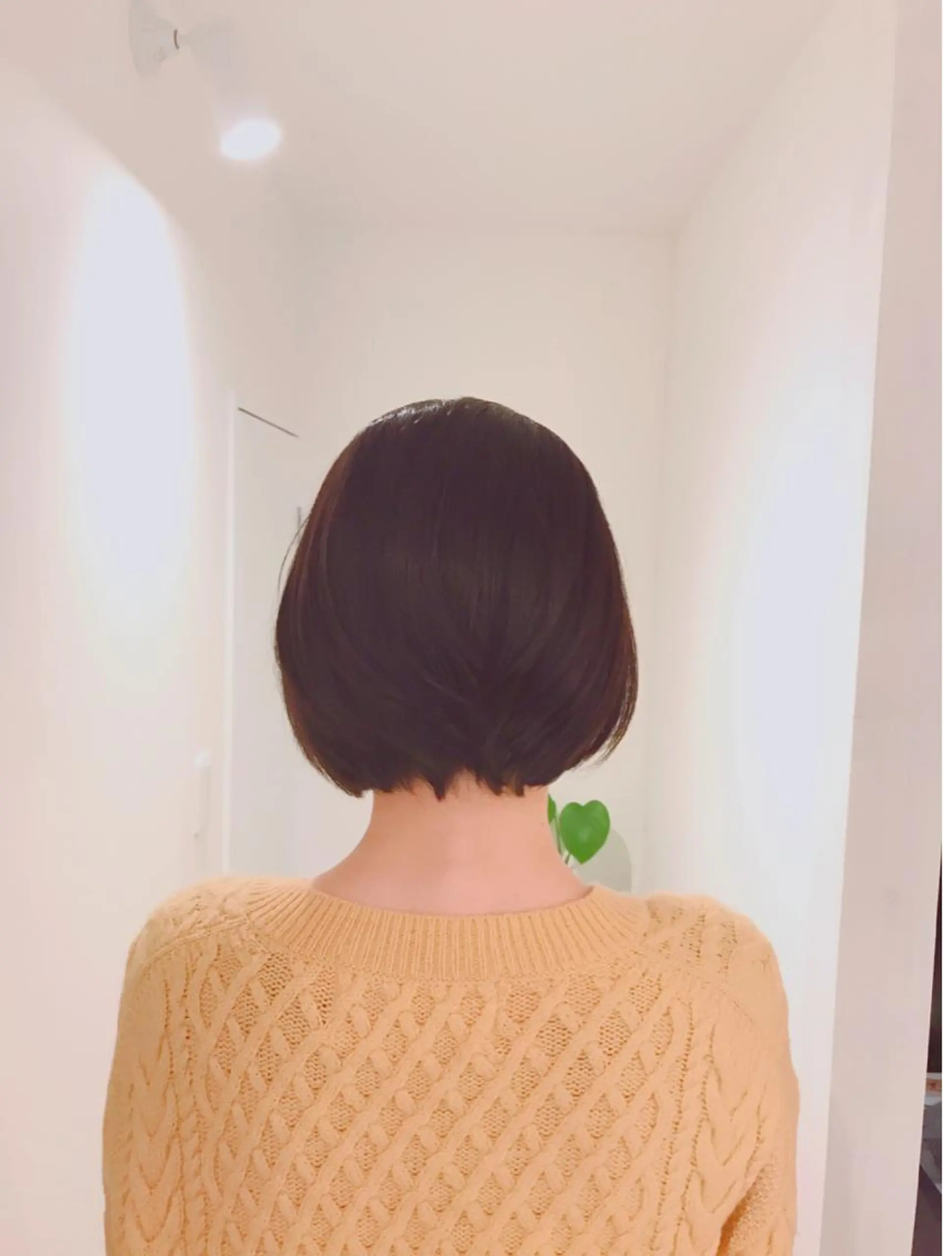 ショート 前下がりボブ ボブ 🌈elua yukaのヘアスタイル