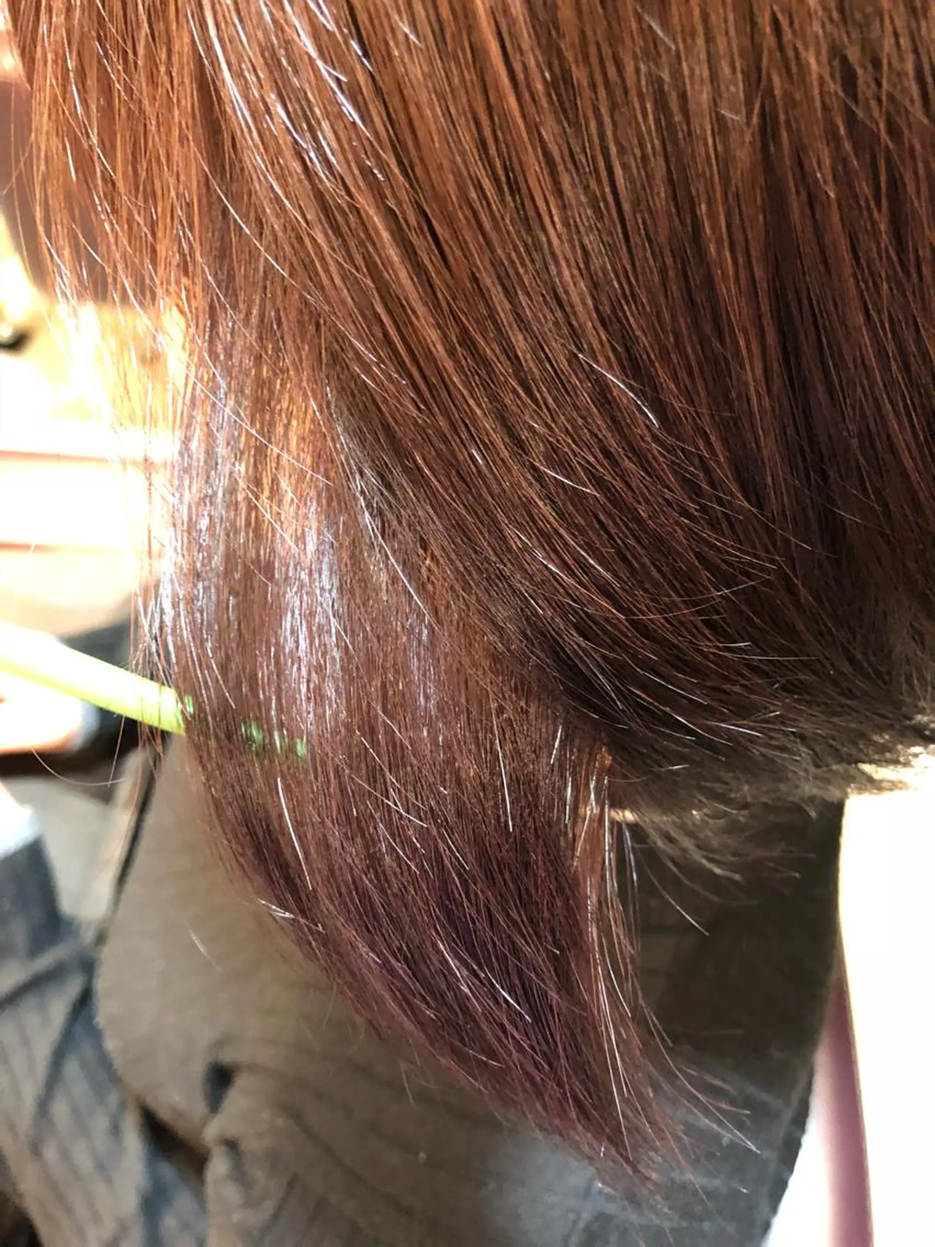 ショート カラー インナーカラー バイオレットカラー こすげひろと カラー講師のヘアスタイル