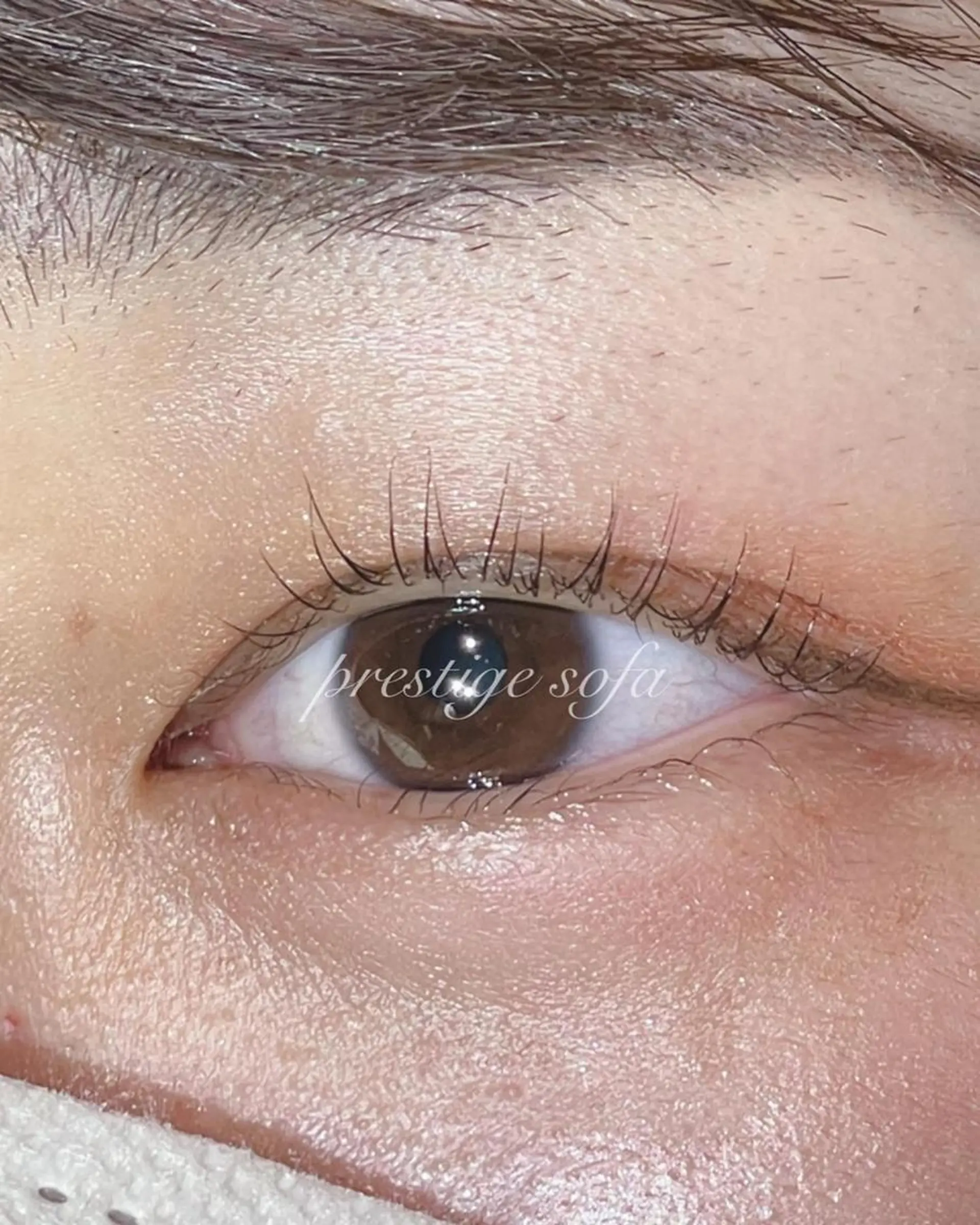 ネイル マツエク・マツパ カラーマツエク まつげパーマ ボリュームラッシュ ブラウン ジェルネイル マツパ 髙橋 敦子のマツエク・マツパデザイン