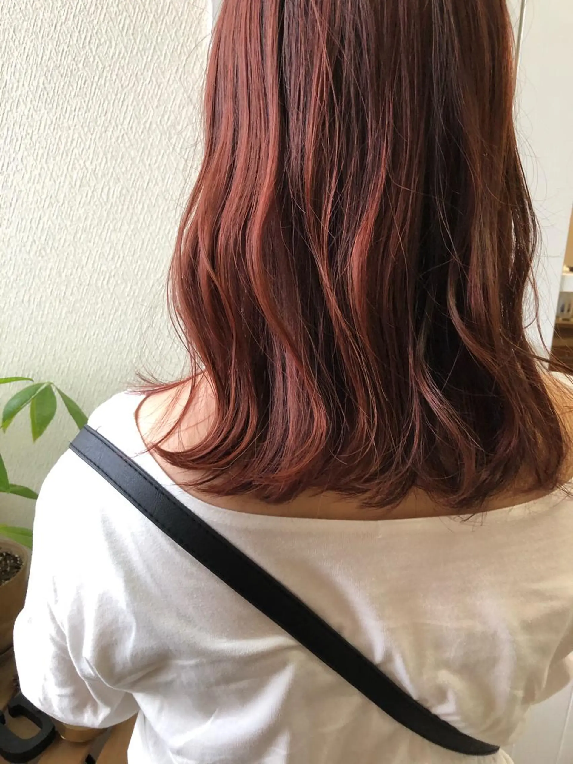 ミディアム カラー ブリーチ カシス ブリーチなしカラー ピンクカラー カット ヘッドスパ 小木曽智美 /ボブ/ショートのヘアスタイル