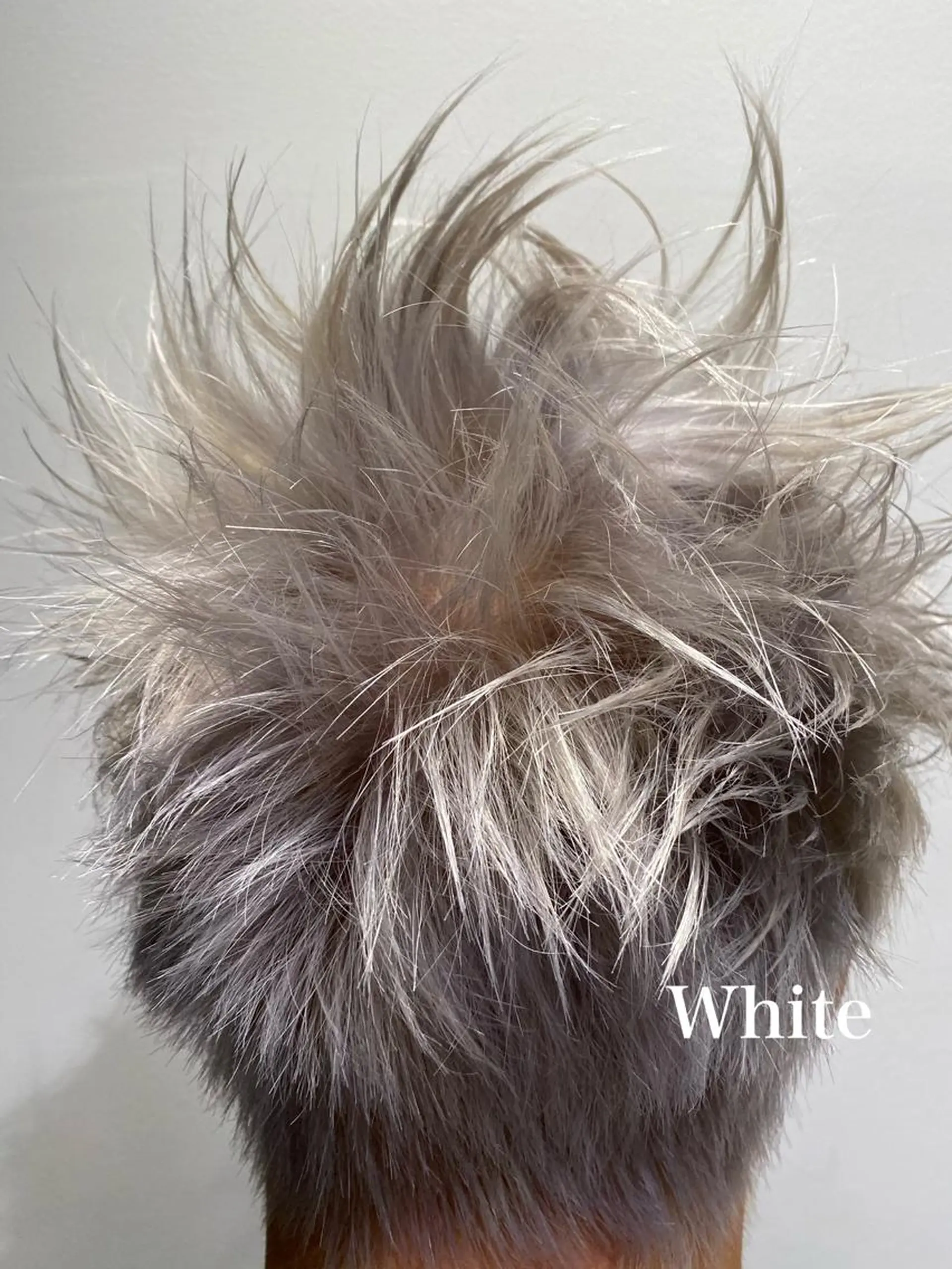 カラー ヘアカラー MONIQA原宿所属・デザインカラーウルフ 宙也のヘアスタイル