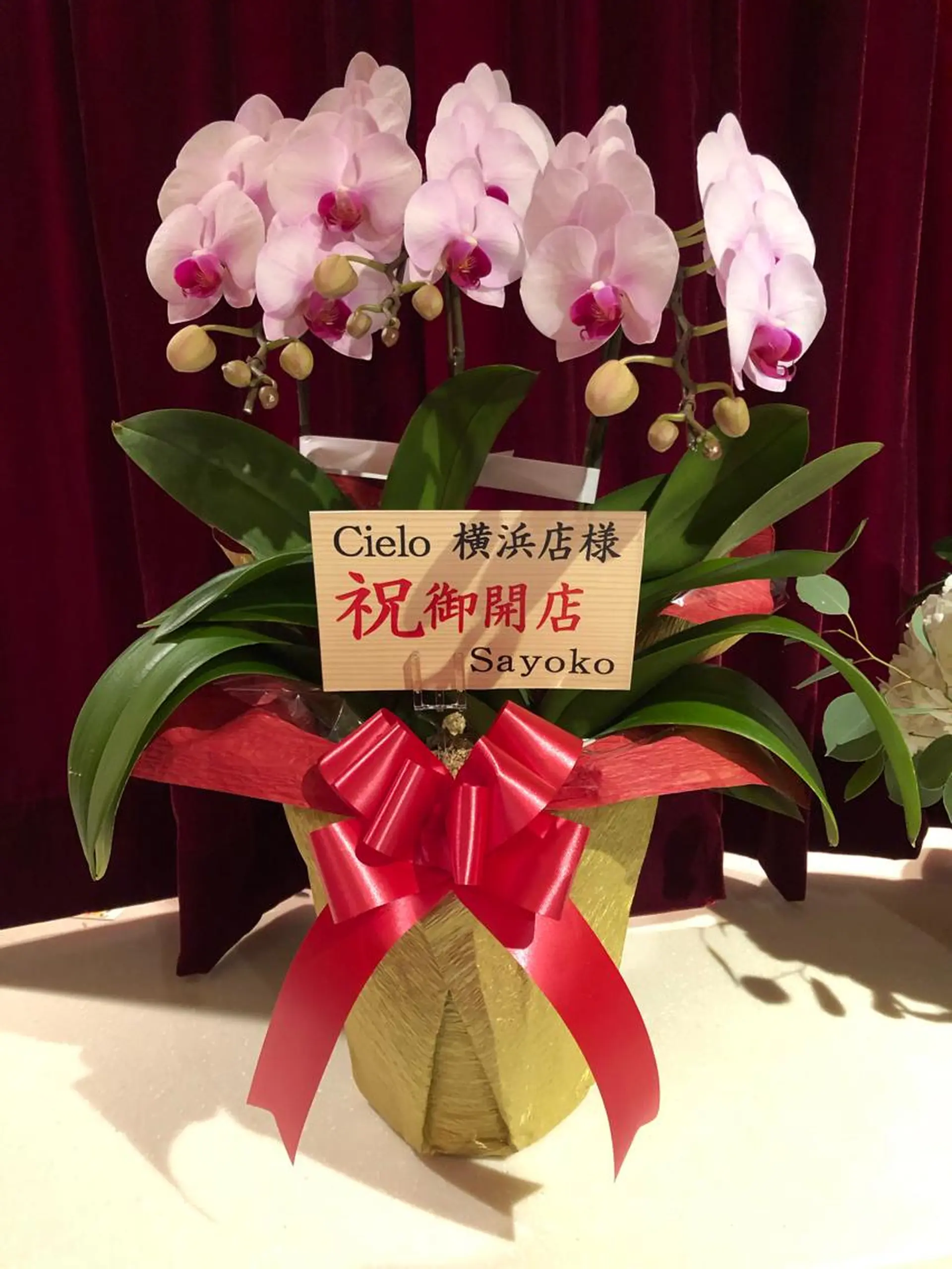 Cielo(シエロ) ダイエット専門店のエステ・リラクイメージ