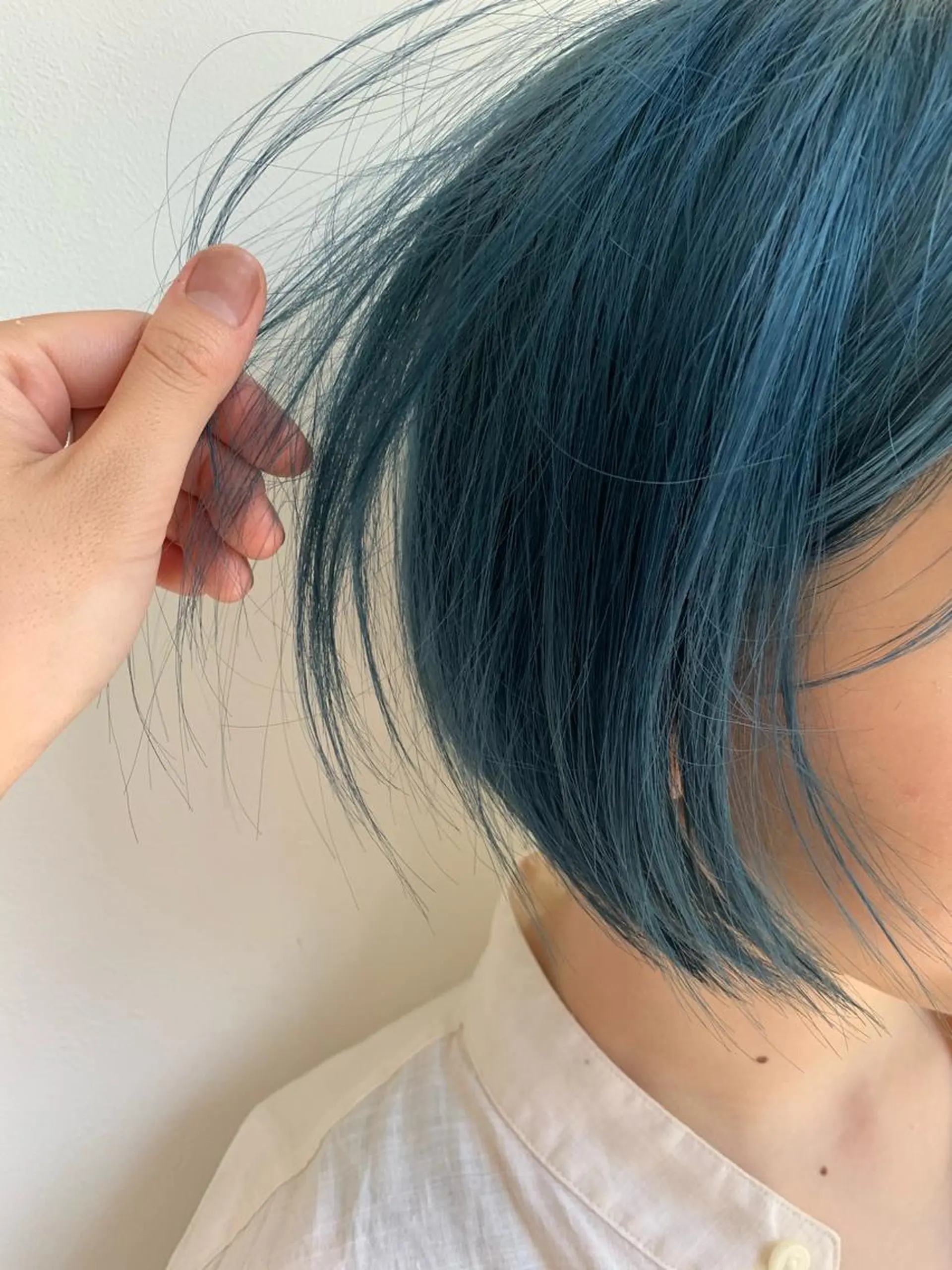 ショート カラー ANY／SUE 千葉パーマのヘアスタイル