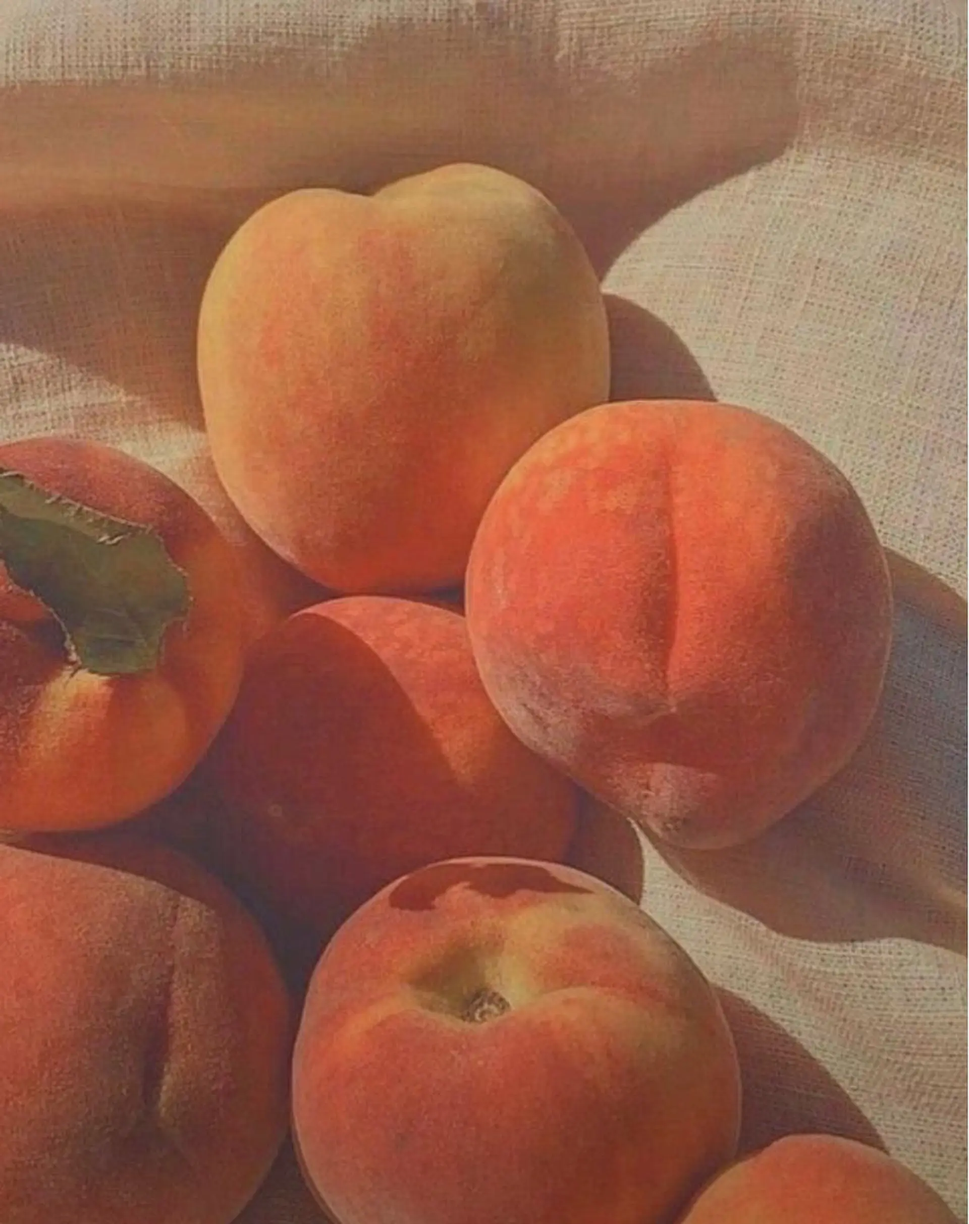 Bless hair &spa所属・🫧縮毛矯正／カラー ／bless松浦🫧のヘアスタイル