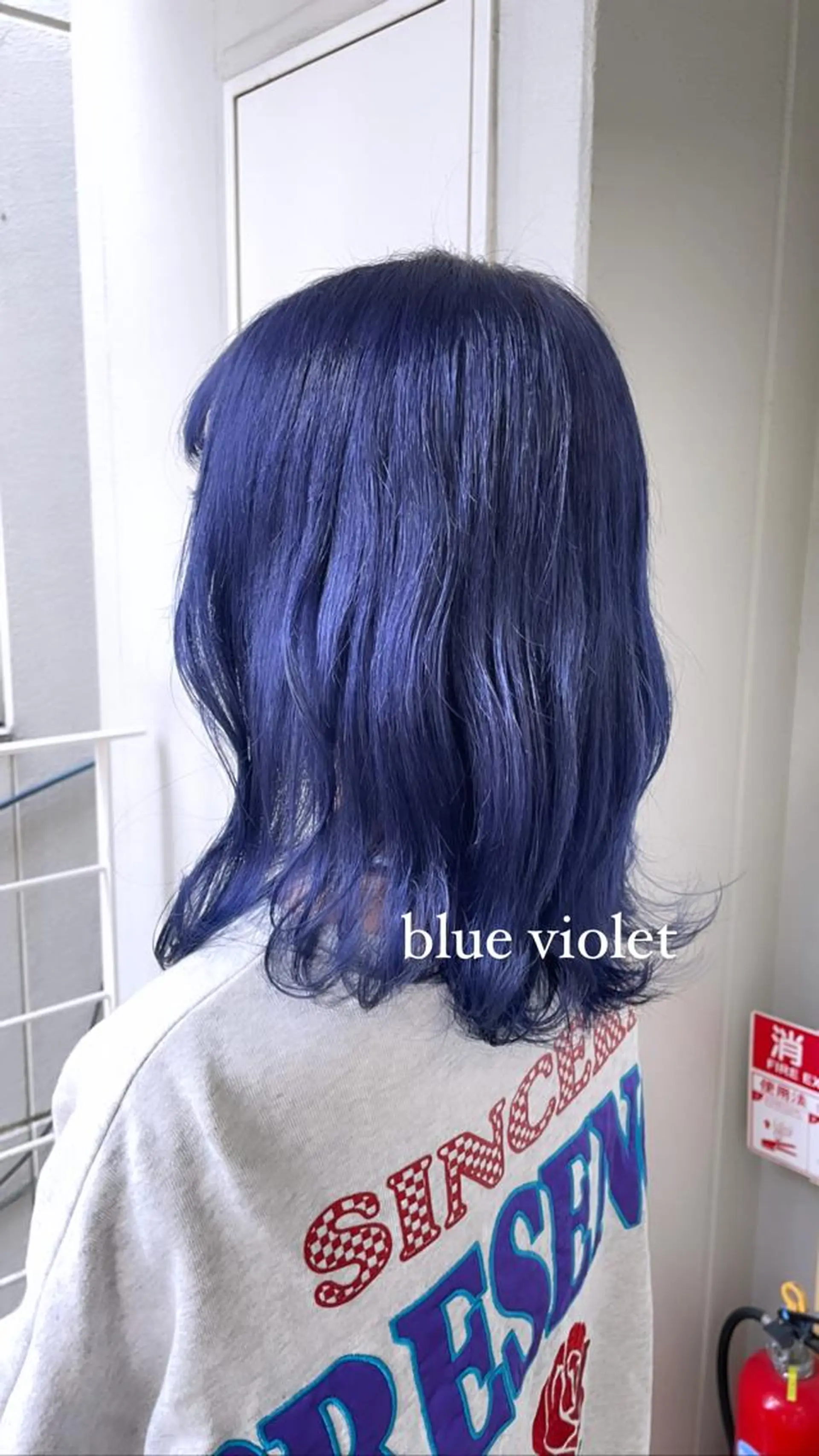 ミディアム カラー ヘアアレンジ ブリーチ ヘアカラー トリートメント ヘアセット topstylist 🖤川辺晴加🖤のヘアスタイル