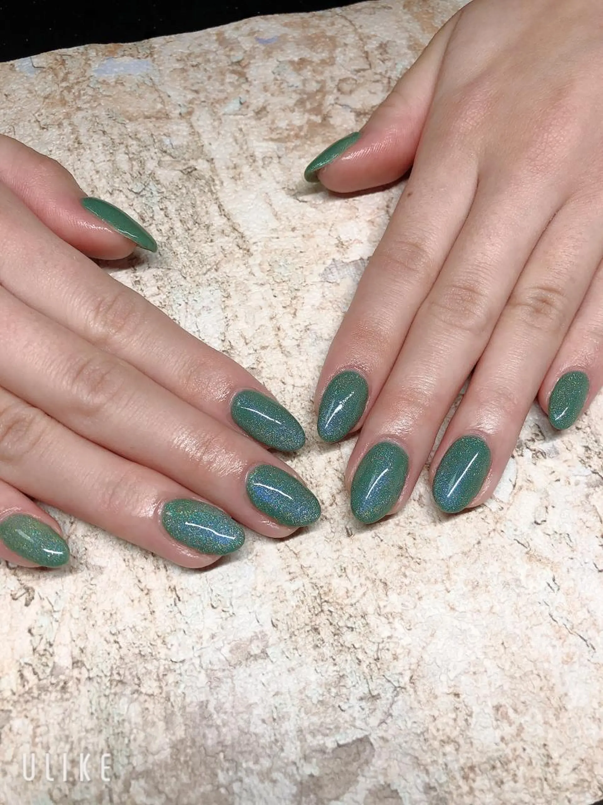 ネイル アートネイル フレンチネイル ジェルネイル グラデーション 韓国ネイル Nail room Bimano所属・Bimano seica♡+°のネイルデザイン