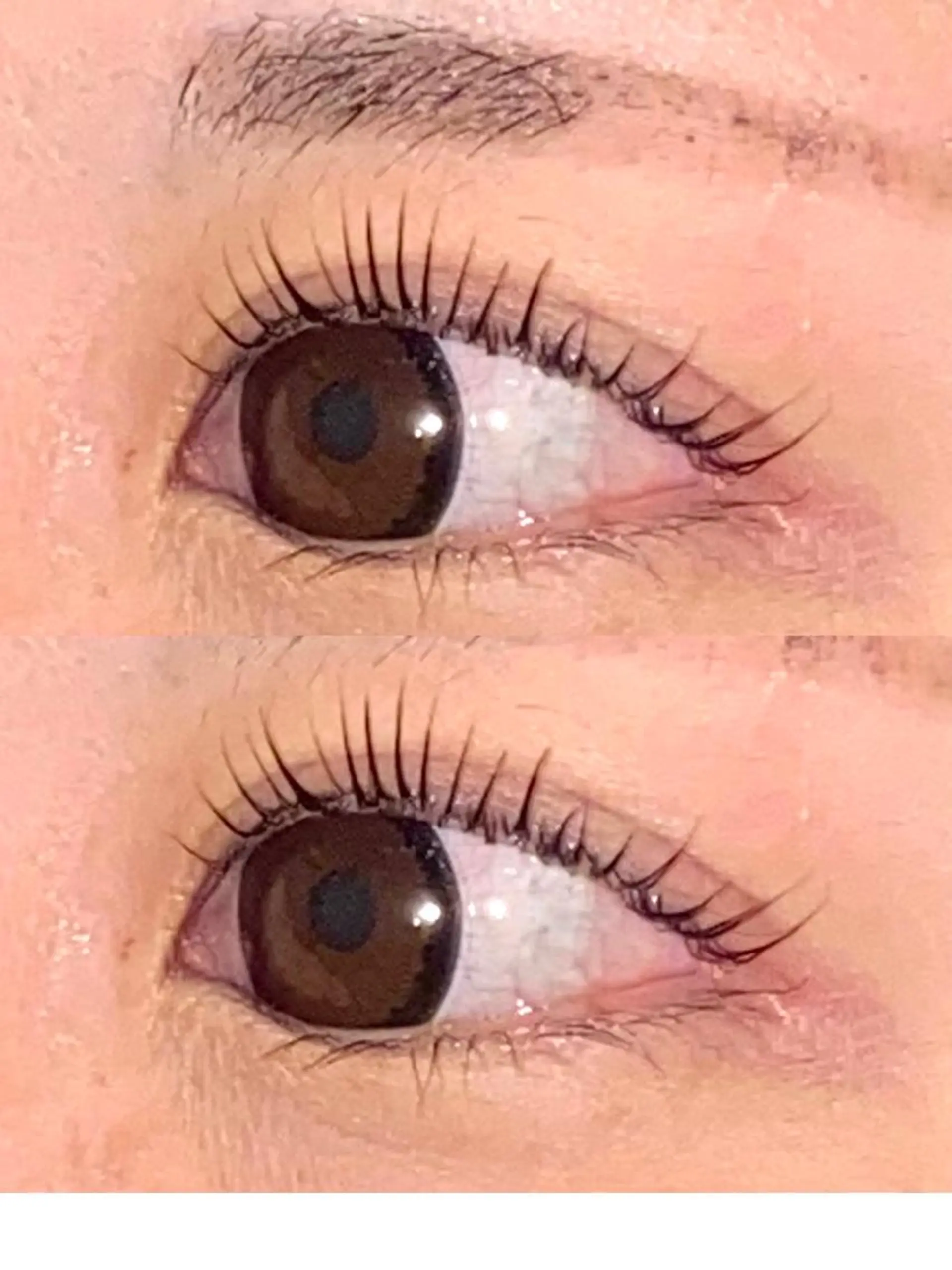 マツエク・マツパ パリジェンヌラッシュリフト 🦋eyelist 株 カブ🦋横浜のマツエク・マツパデザイン