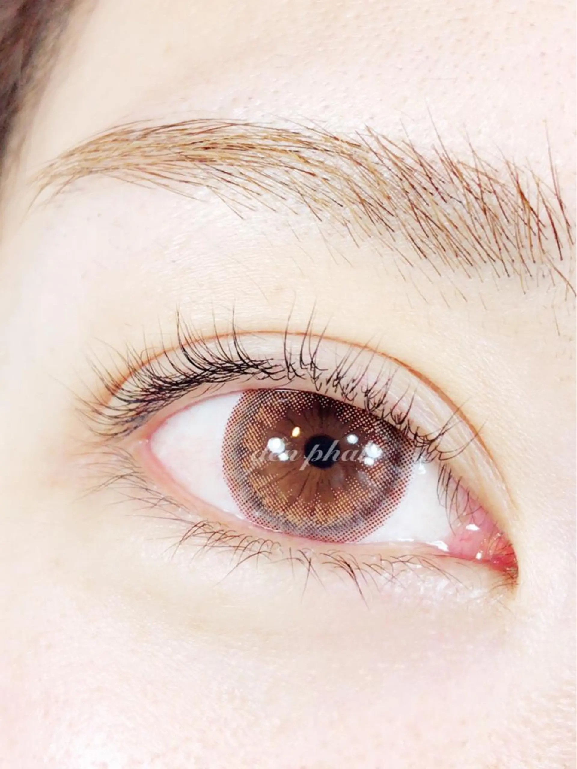 マツエク・マツパ マツパ salon de denphalのマツエク・マツパデザイン