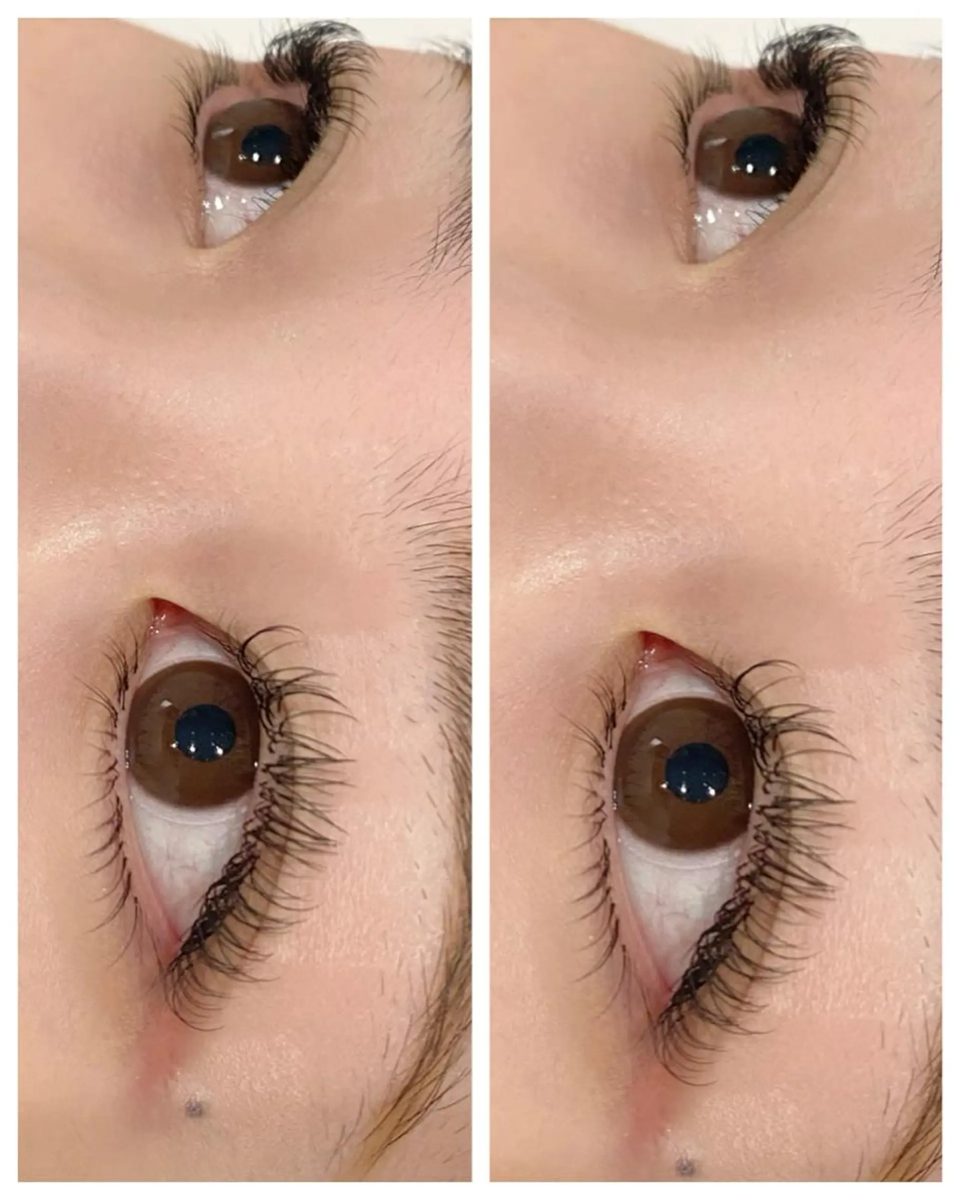 マツエク・マツパ まつげパーマ KOU.所属・eye Natsumiのマツエク・マツパデザイン