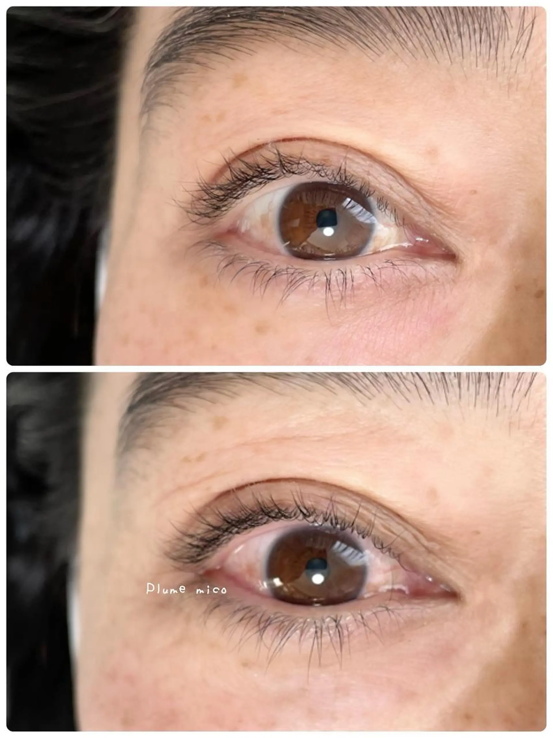 マツエク・マツパ マツパ Plume micoのマツエク・マツパデザイン