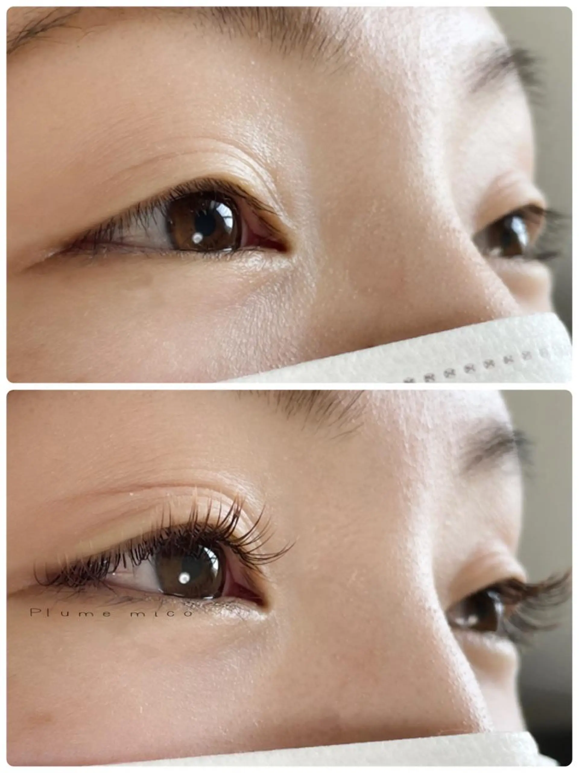 マツエク・マツパ マツエク Plume micoのマツエク・マツパデザイン