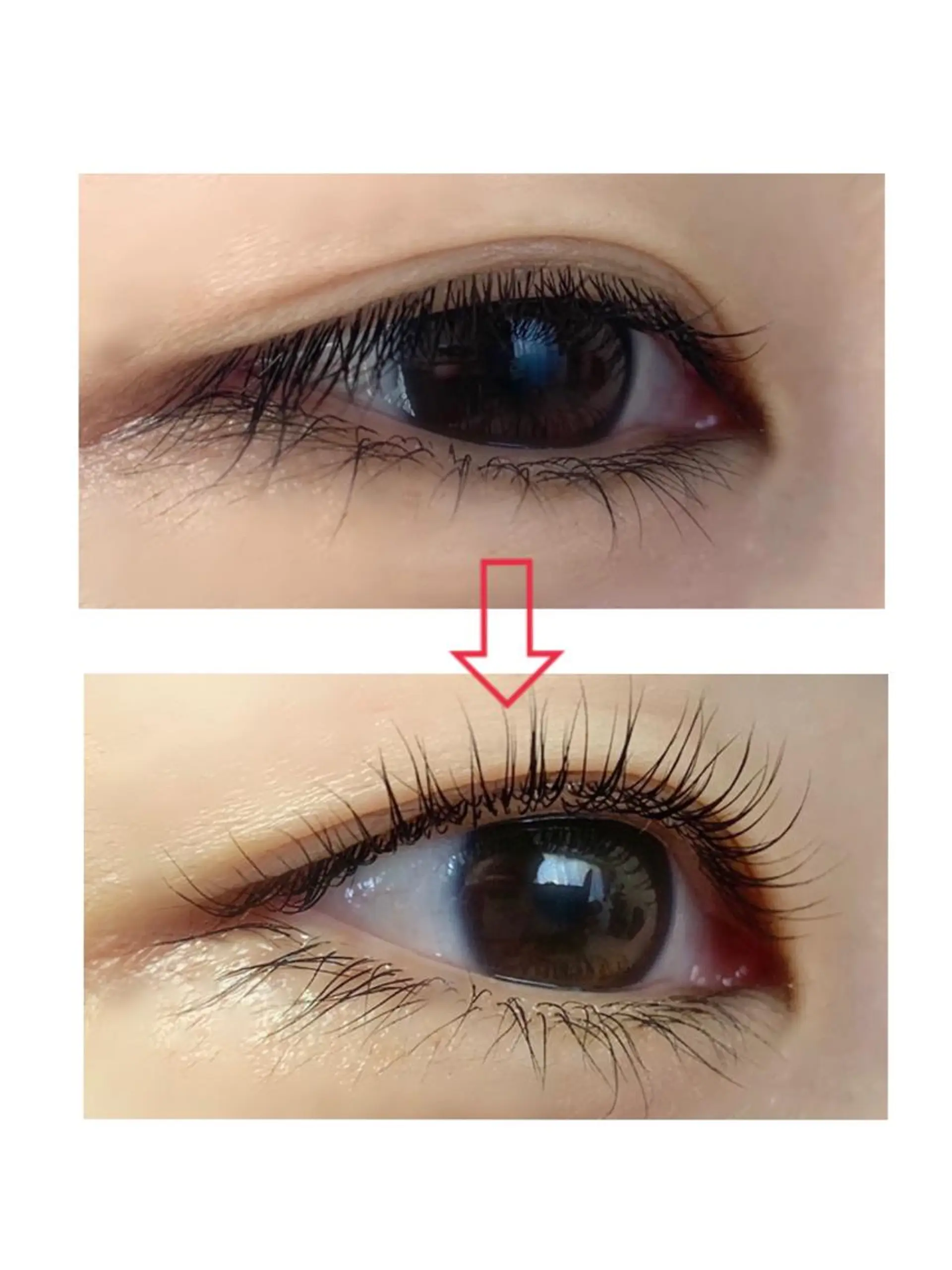 マツエク・マツパ RALLY＋所属・RALLY＋オーナー 橘のマツエク・マツパデザイン