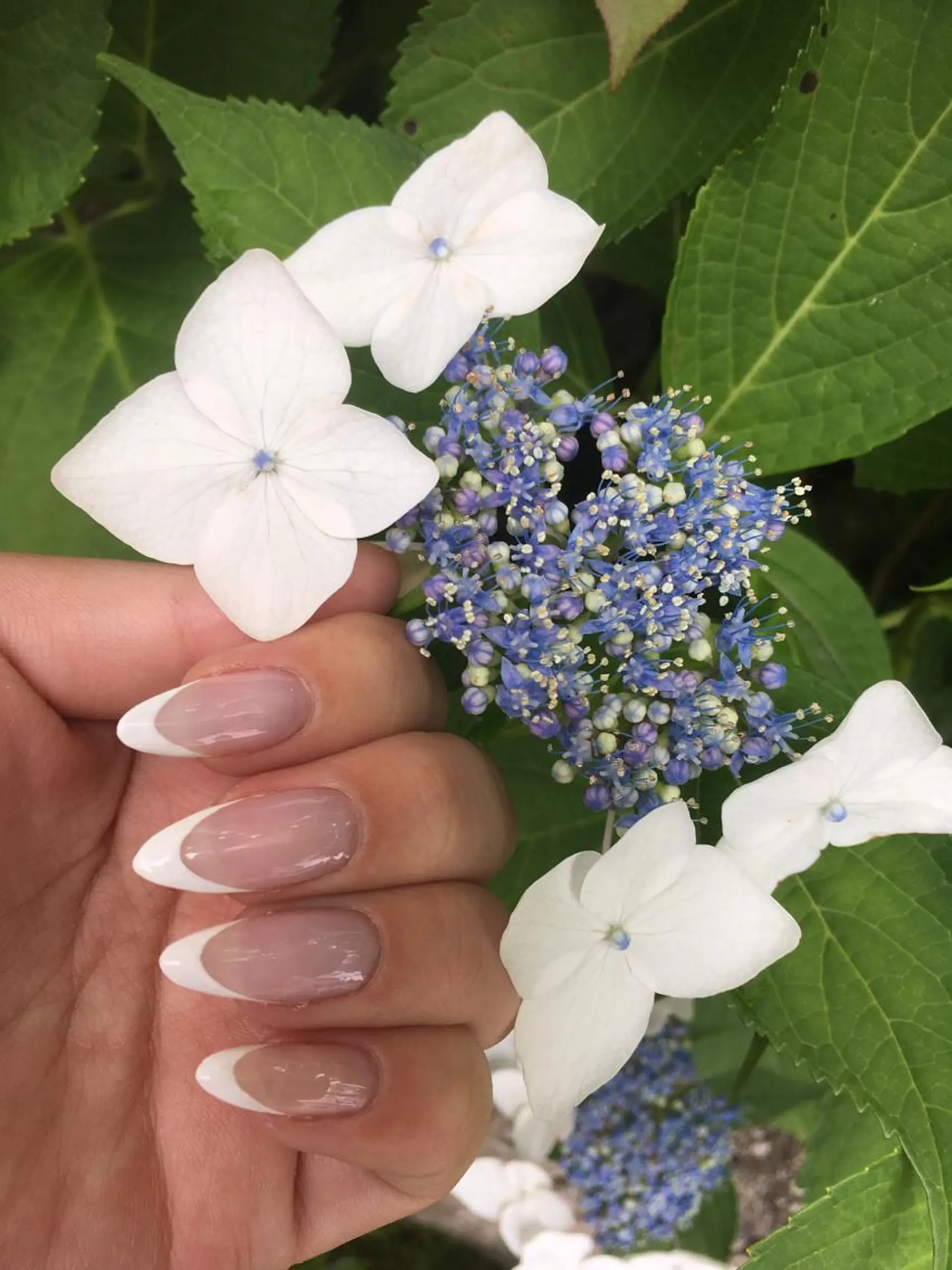 ネイル フレンチネイル ラメ(グリッター) ネイル＆フラワーサロン〜Ri✦hiro〜鳥栖店所属・HIRATA RIEのネイルデザイン