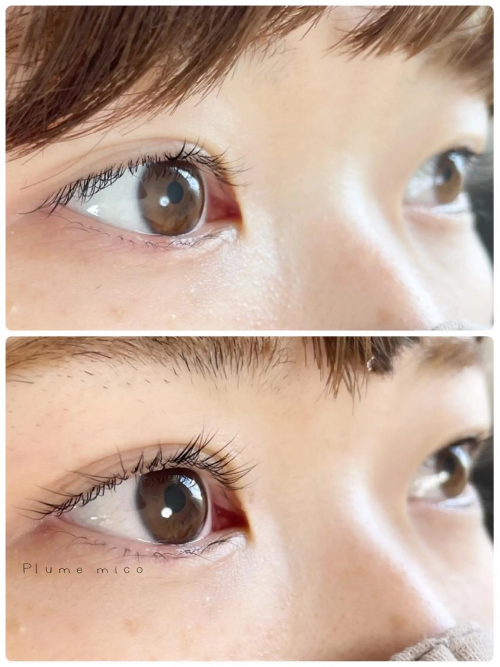 マツエク・マツパ マツパ Plume micoのマツエク・マツパデザイン