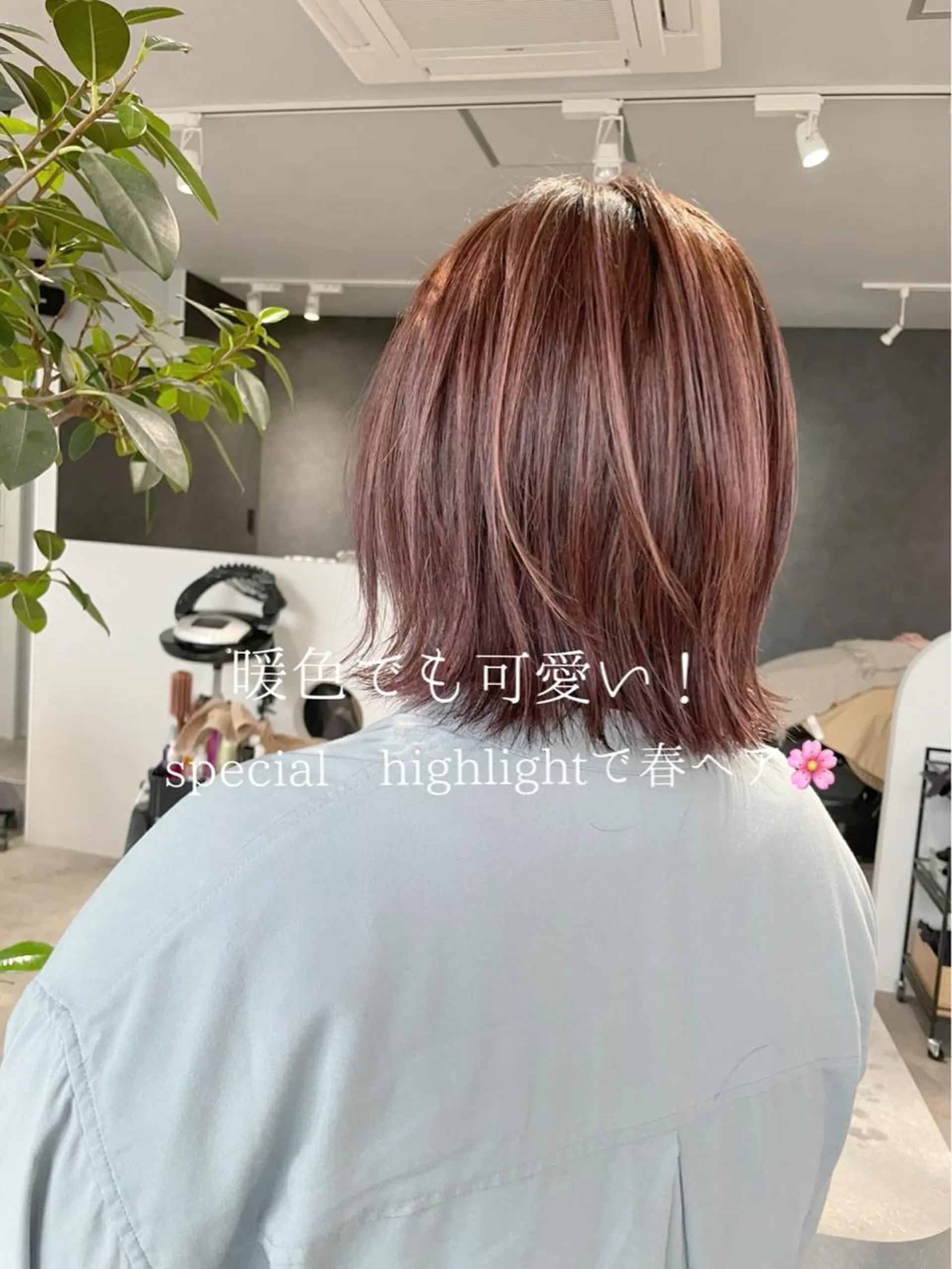 ショート 岸川 恭子のヘアスタイル