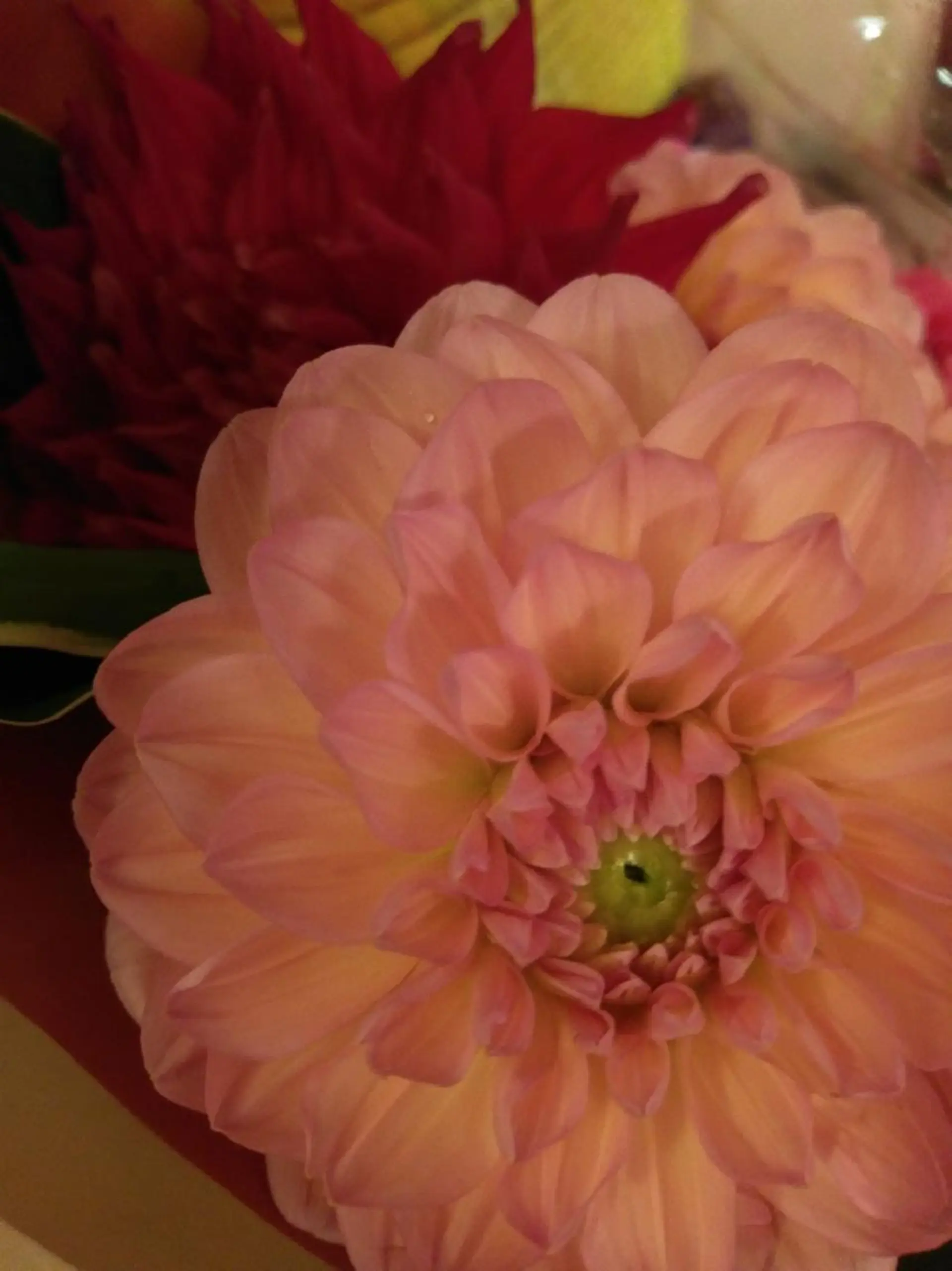 シュガーリングサロン　ダリア所属・Dahliaダリア シュガーリングサロンのエステ・リラクイメージ