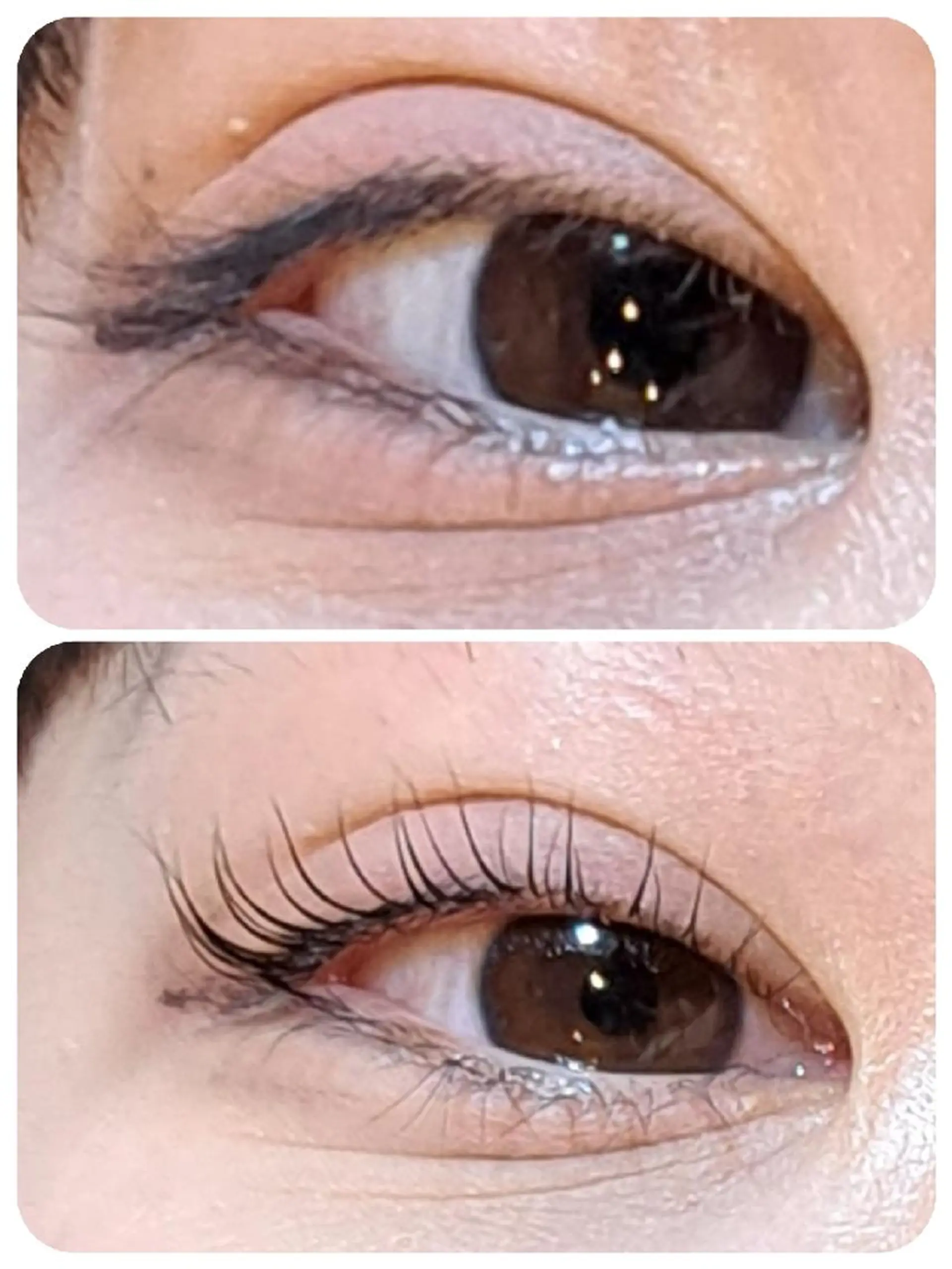 マツエク・マツパ ナチュラル 一重×まつ毛パーマ トータルビューティー  バルフィット所属・冨永 小絵のマツエク・マツパデザイン