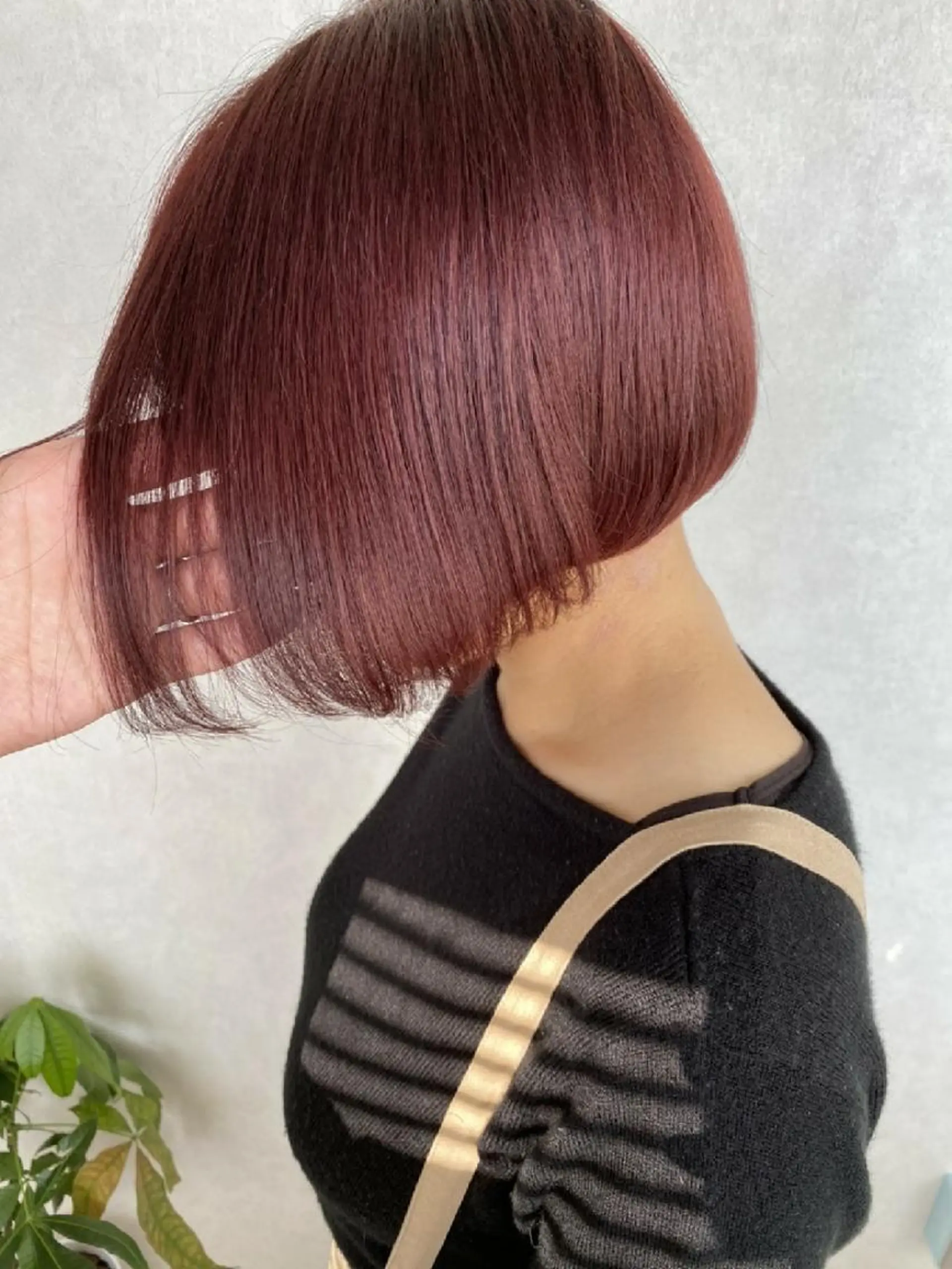 ショート 難波/白髪ぼかし/ KAORIのヘアスタイル