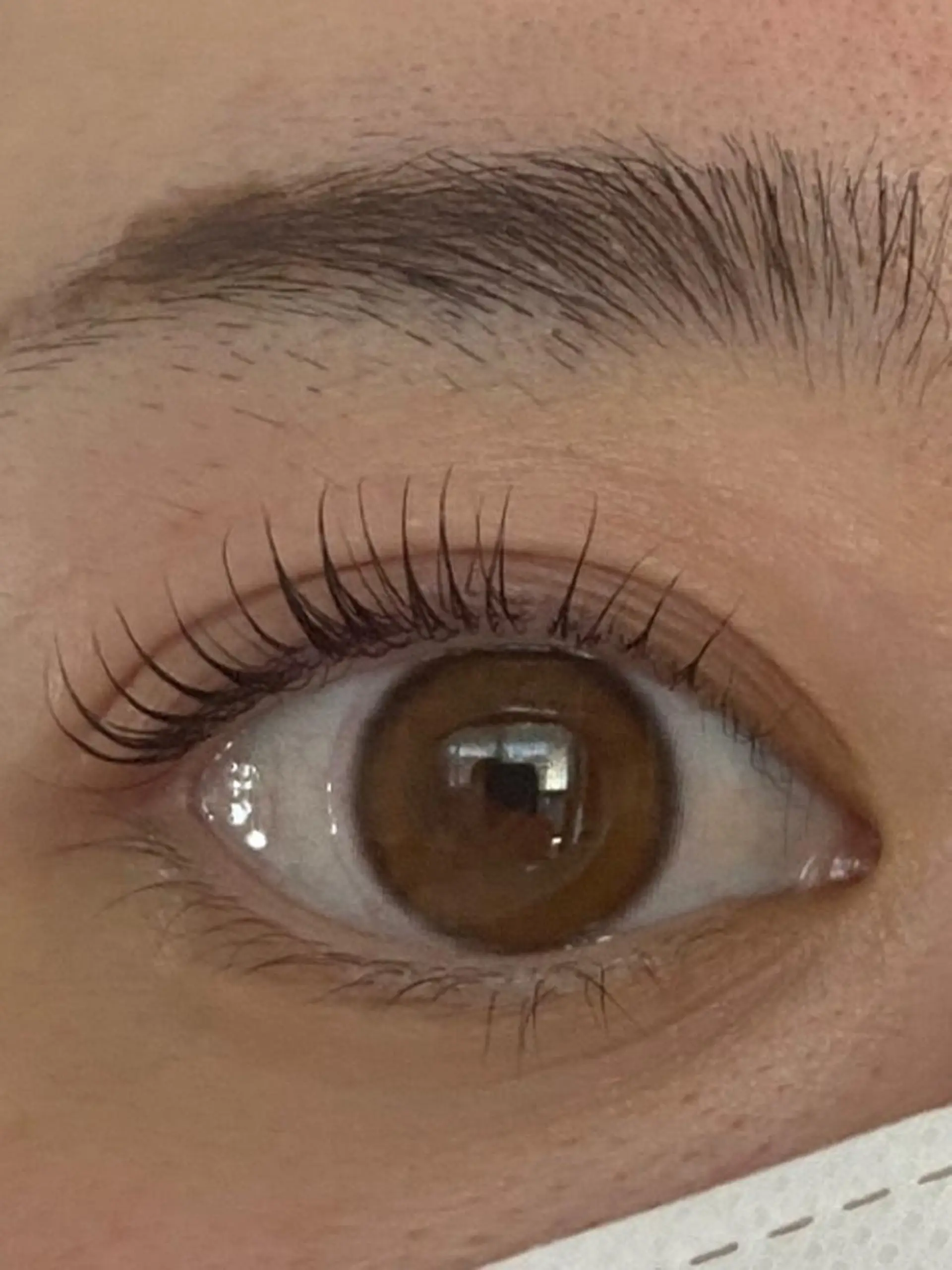 マツエク・マツパ koti onni所属・koti  onni eyelashのマツエク・マツパデザイン