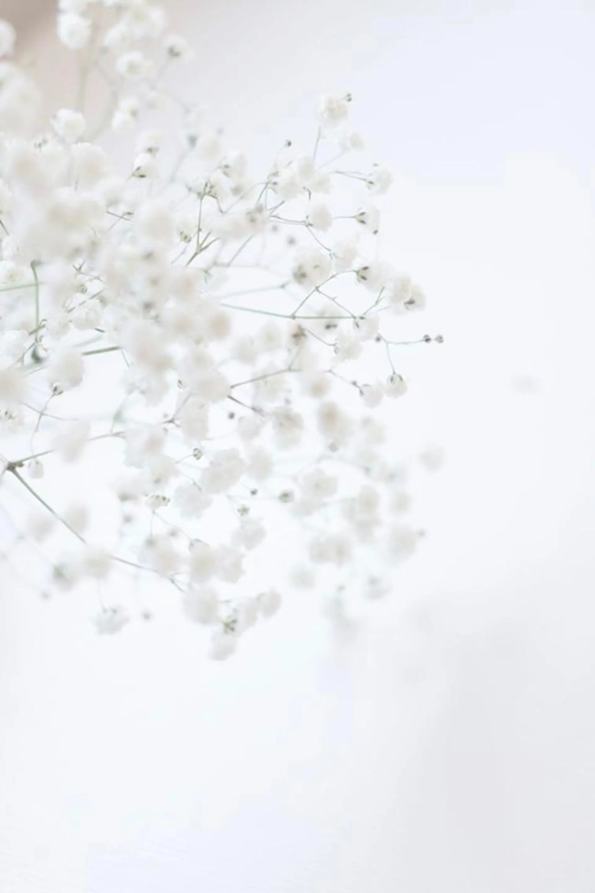 メンズ マツエク・マツパ アイブロウ Lash&brow PORTE269布施店所属・brace 竹田愛海のエステ・リラクイメージ