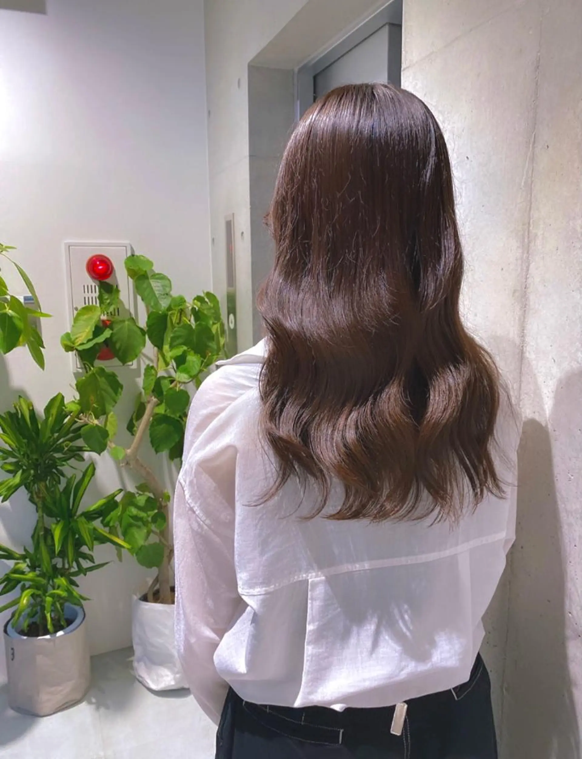 セミロング カット ヘアカラー トリートメント 🌫️大人韓国ヘア 🌫️naoyaのヘアスタイル