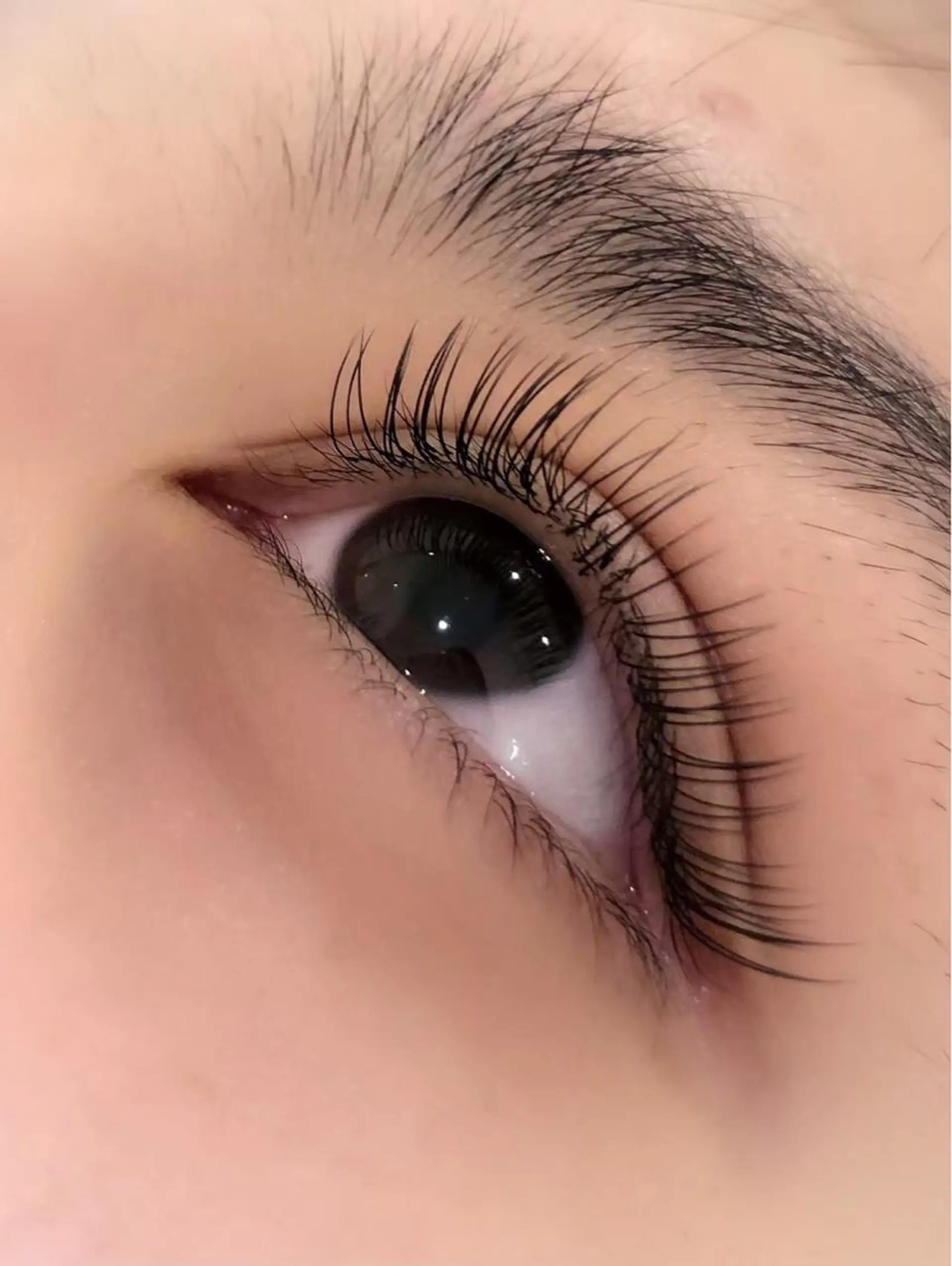 マツエク・マツパ マツエク ピニョン ラッシュのマツエク・マツパデザイン