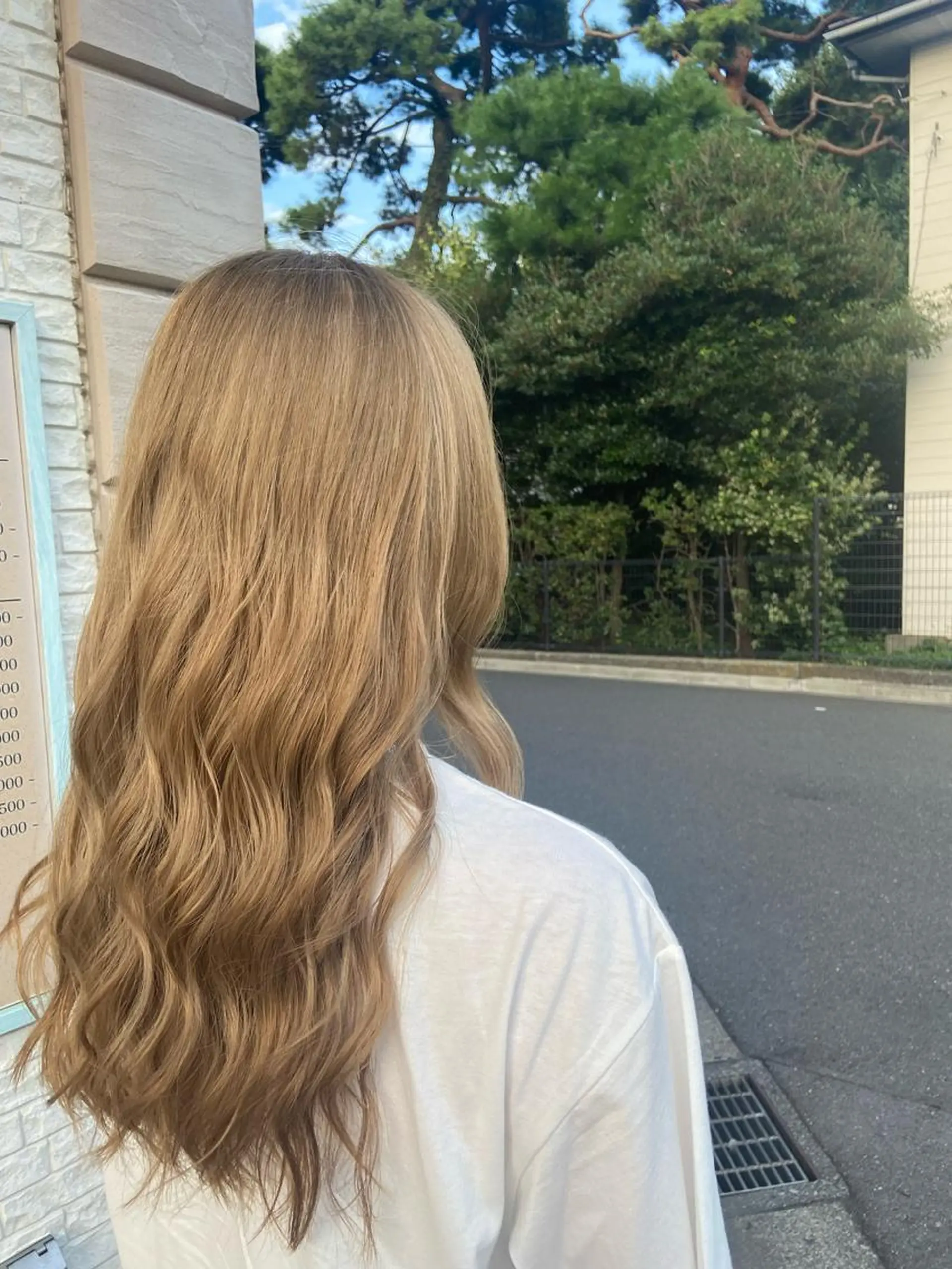 ロング カラー 🪼高評価🪼 💎柴崎の藤咲💎のヘアスタイル