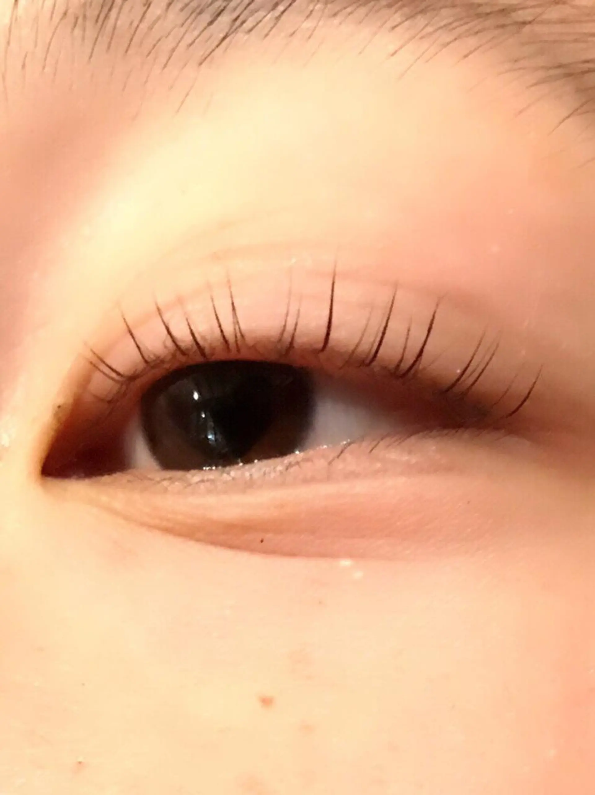 マツエク・マツパ マツパ 艶髪🌿美髪 大塚礼乃【西荻窪】のヘアスタイル