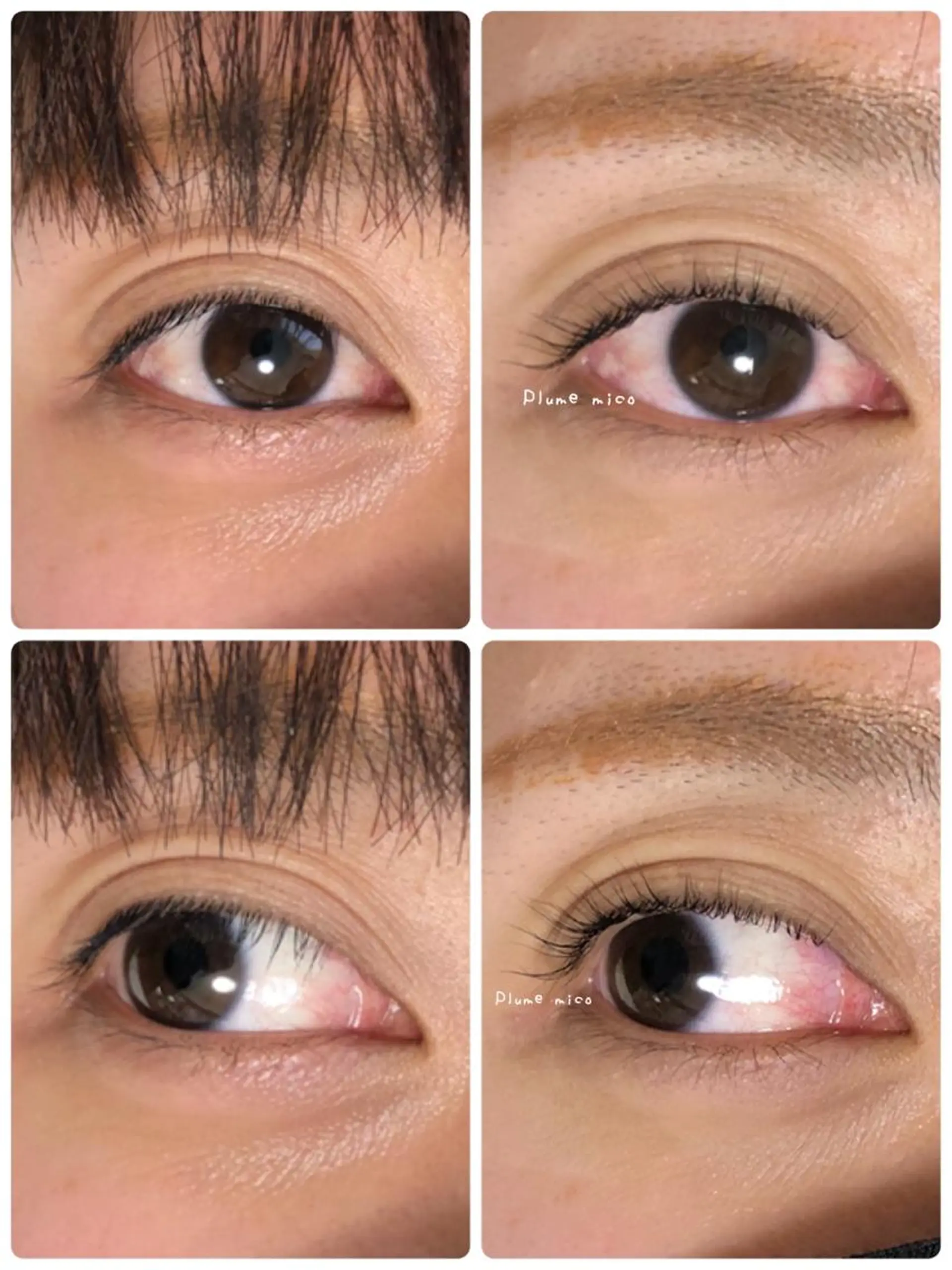 マツエク・マツパ マツパ Plume micoのマツエク・マツパデザイン